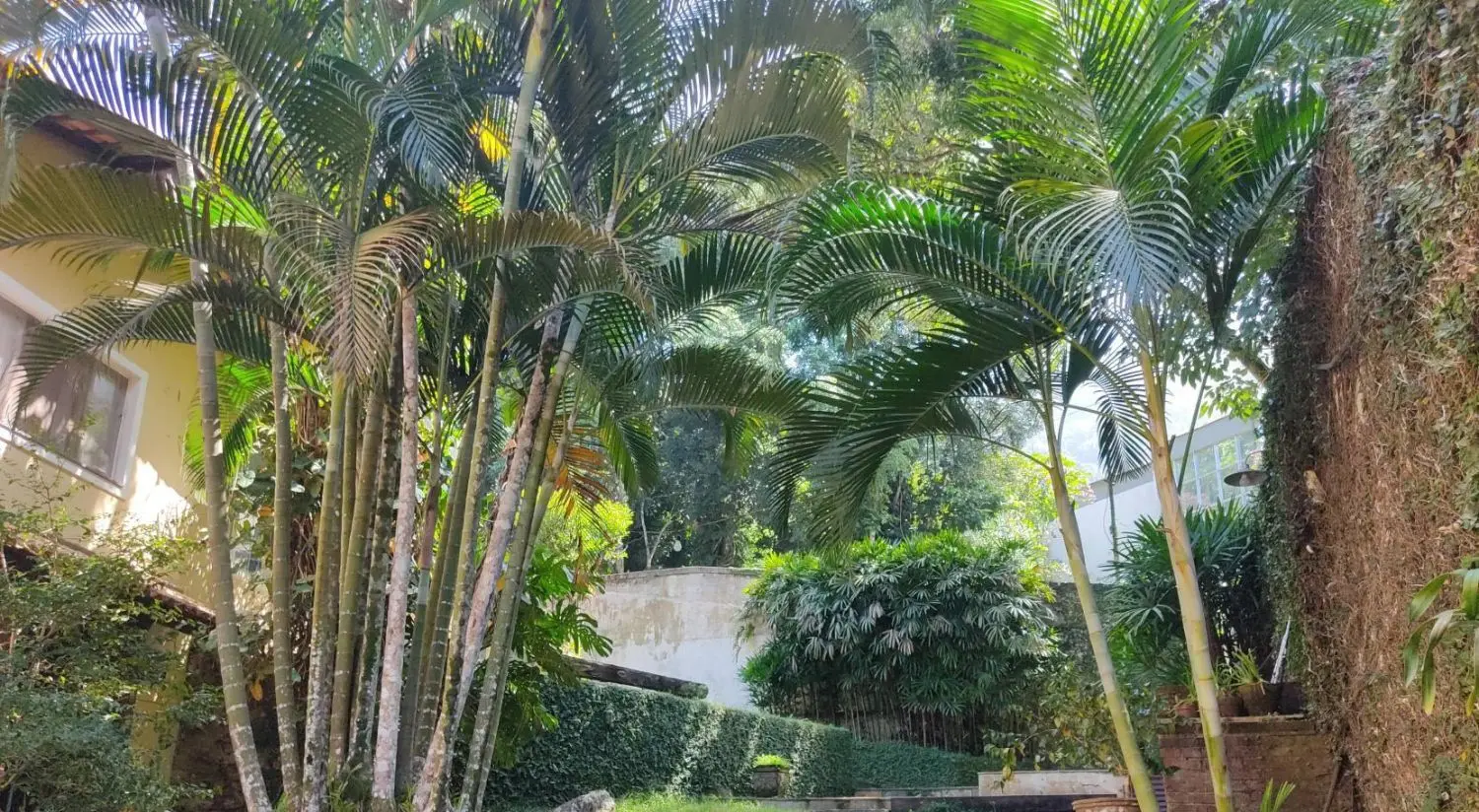 2023-09-sr-birds-fly-trees