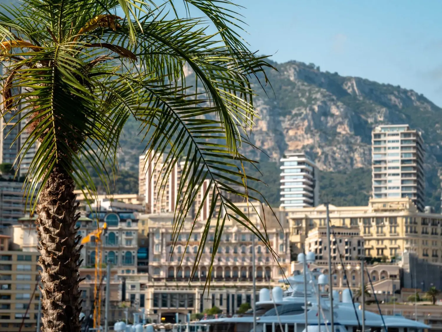 Scenic view of Monte Carlo buildings with palm tree and moored yacht in foreground.<br/>