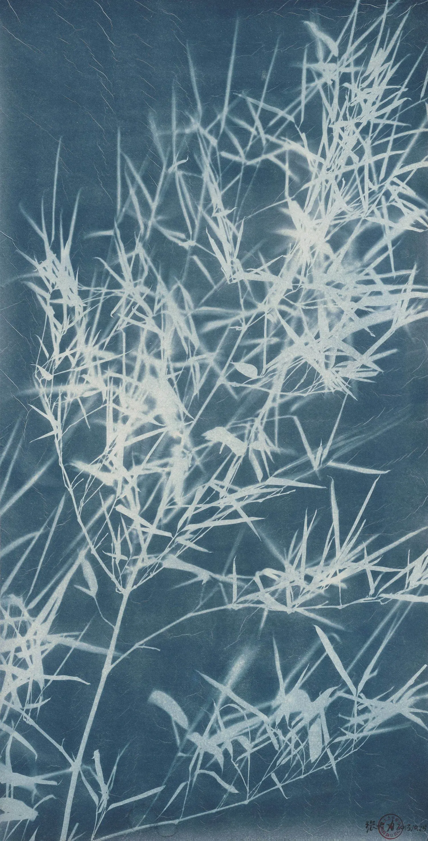 dali-KB1244-bamboo 10