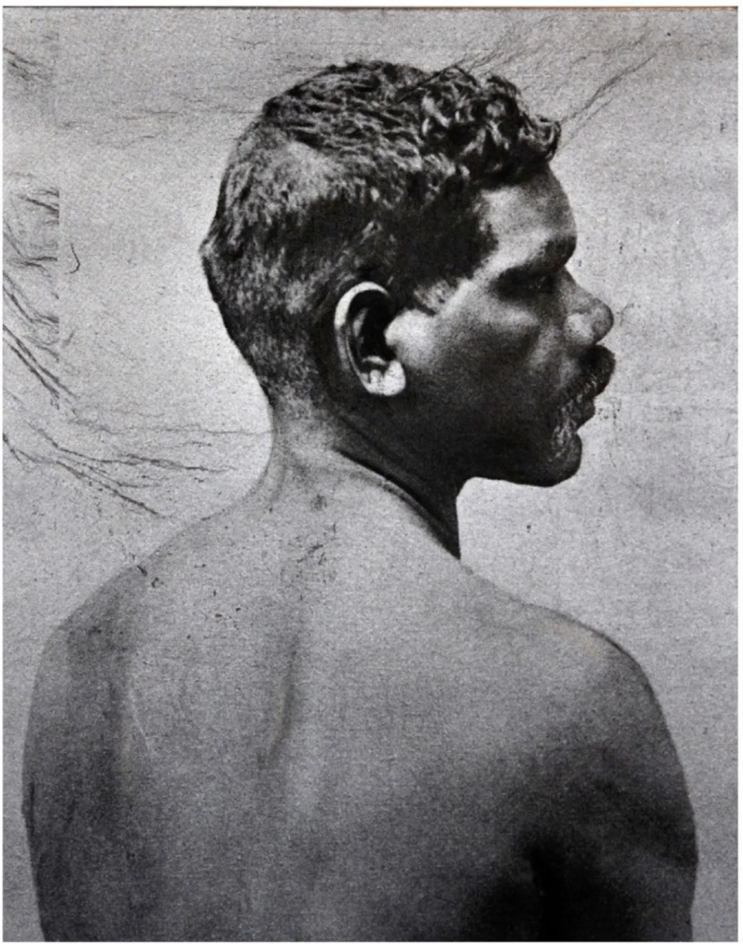 andrew-KL2317-portrait-australia