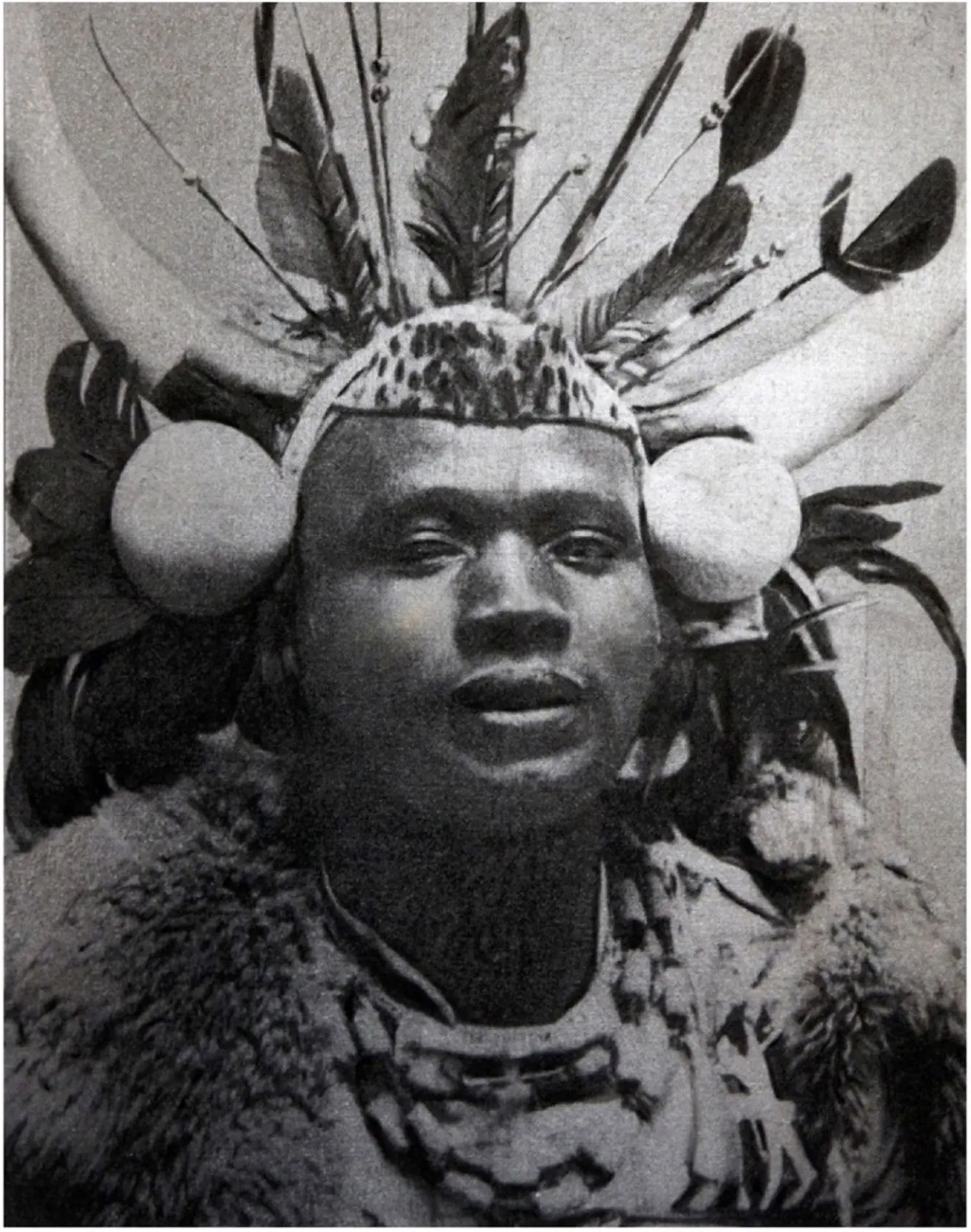 andrew-KL2317-portrait-south-africa