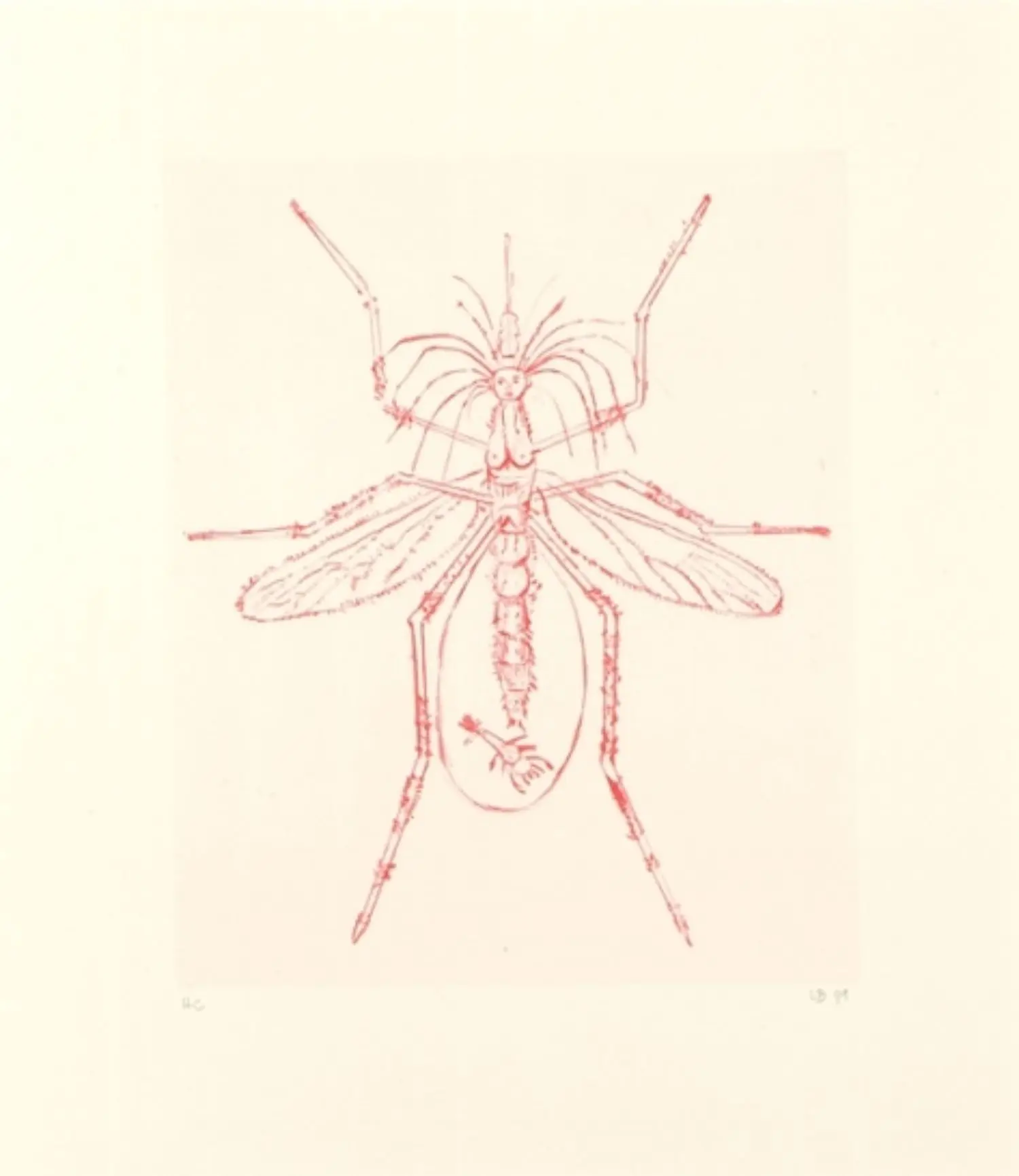 bourgeois-KL1569-mosquito