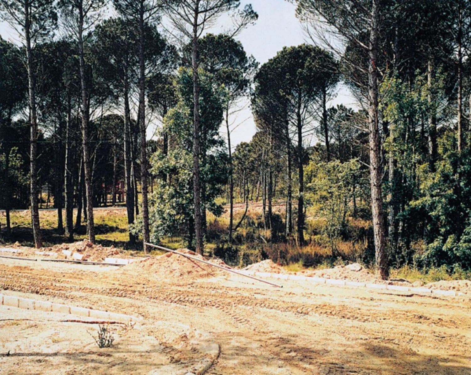 bustamante-KB0722-tableaux