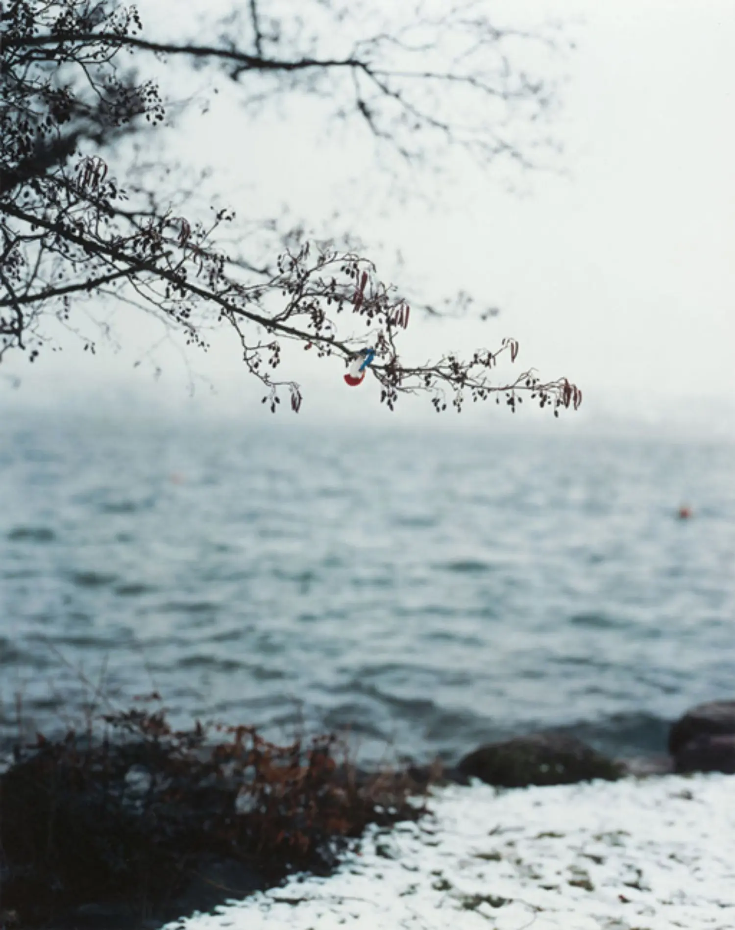 bustamante-KL1630-LP11