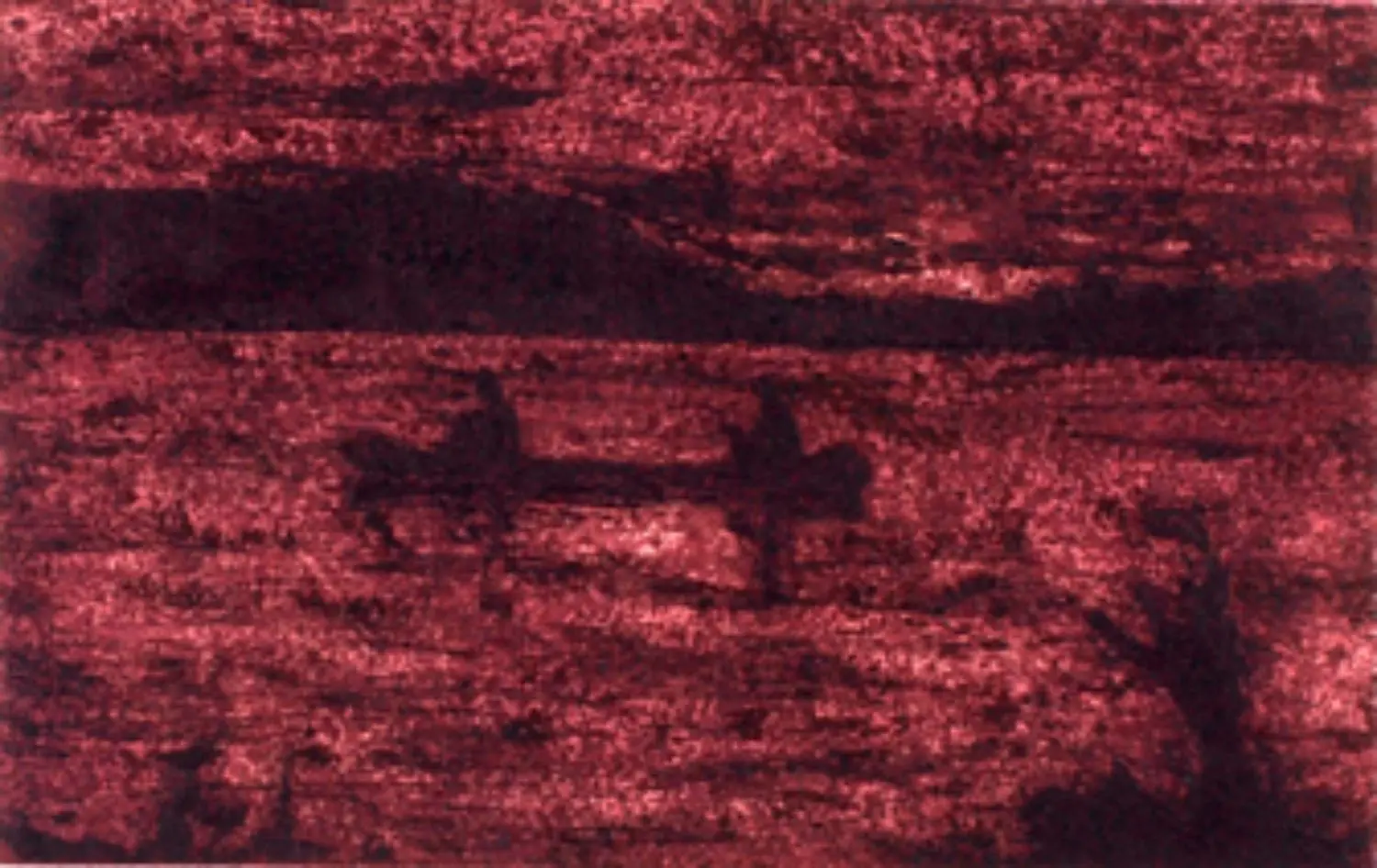 doig-KL1581-1-grasshopper-night-fishing