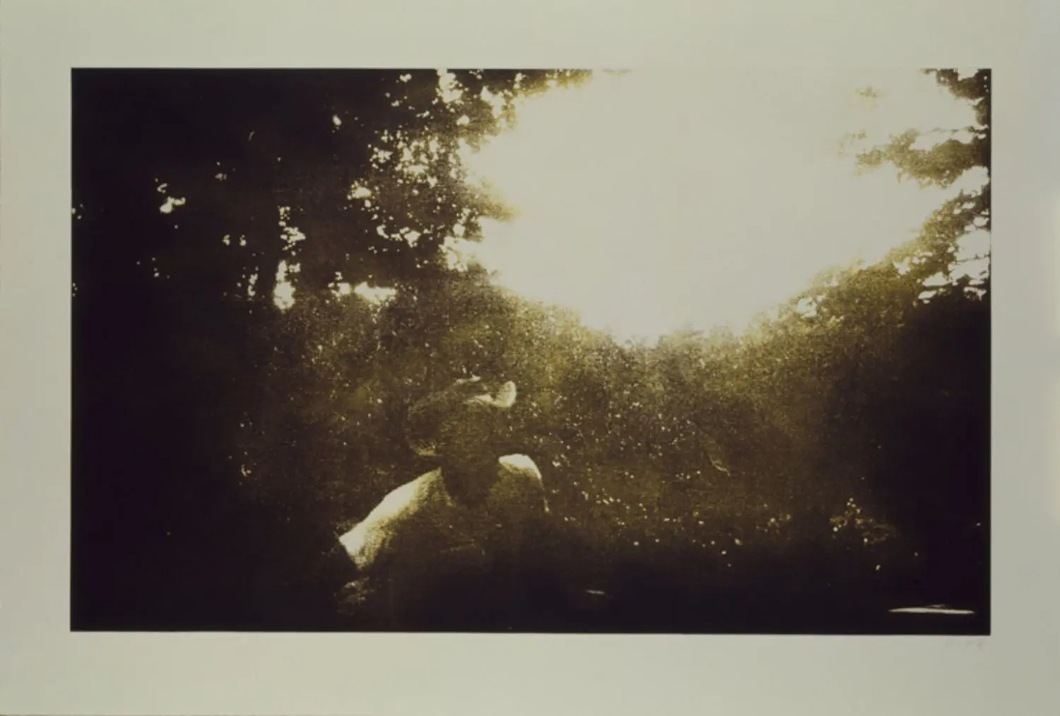 doig-KL1631-3-drifter