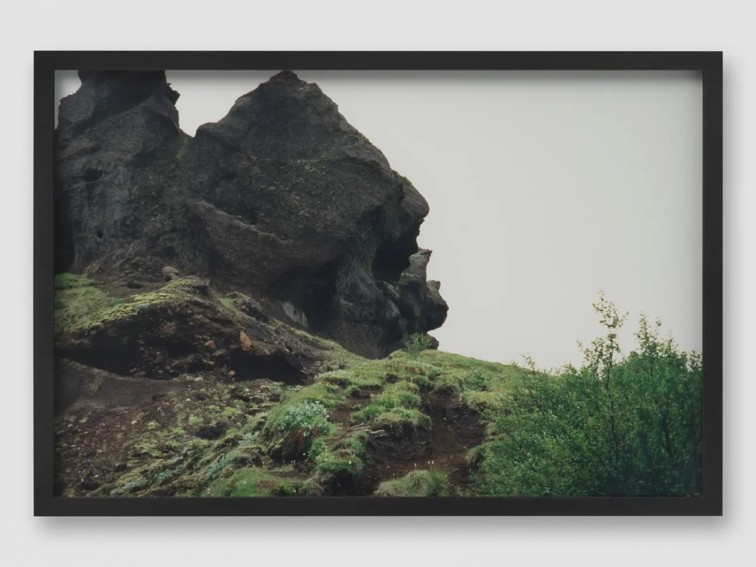 eliasson-KL1612-1-thorsmork-close-up-series