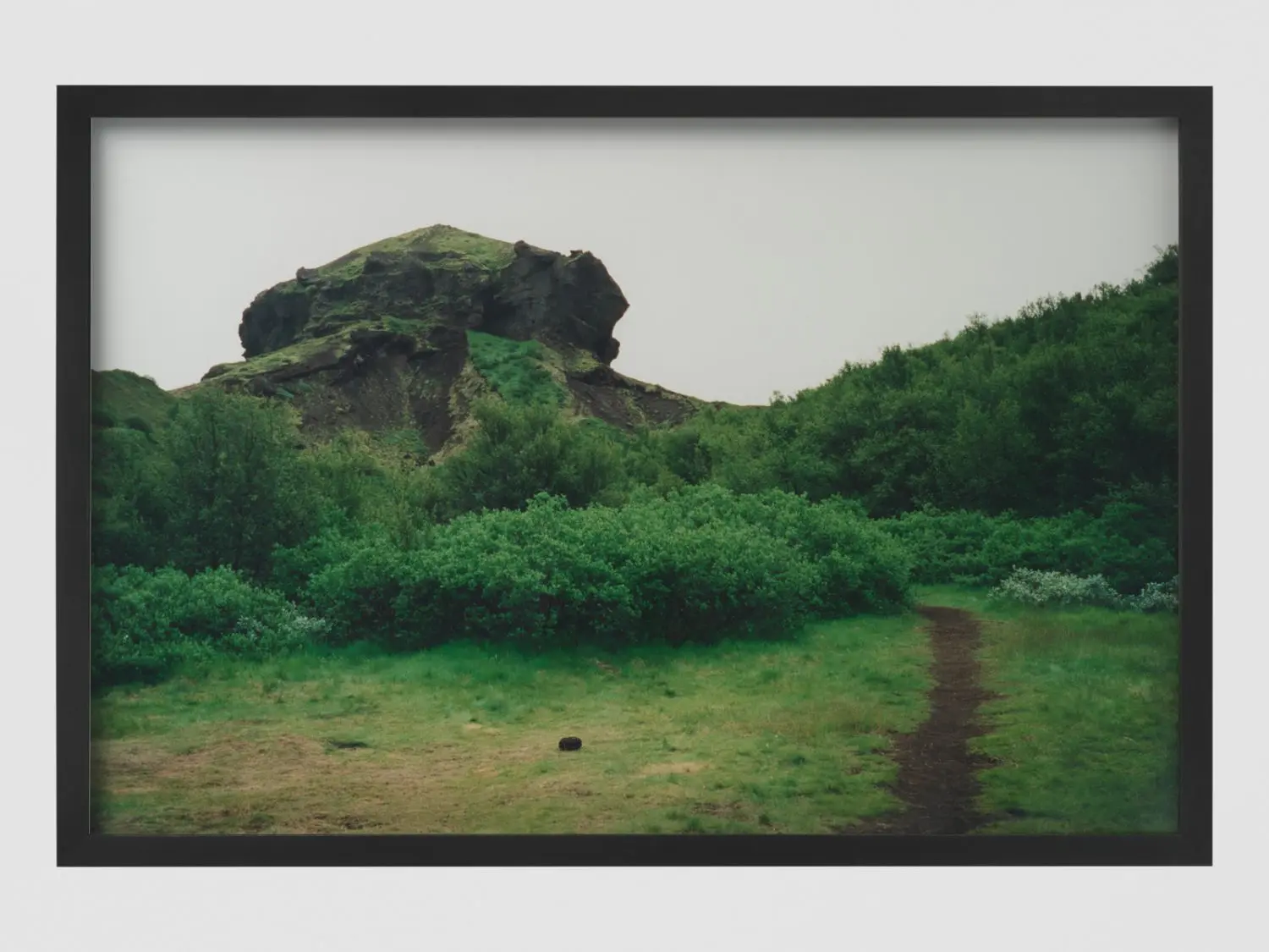 eliasson-KL1612-4-thorsmork-close-up-series