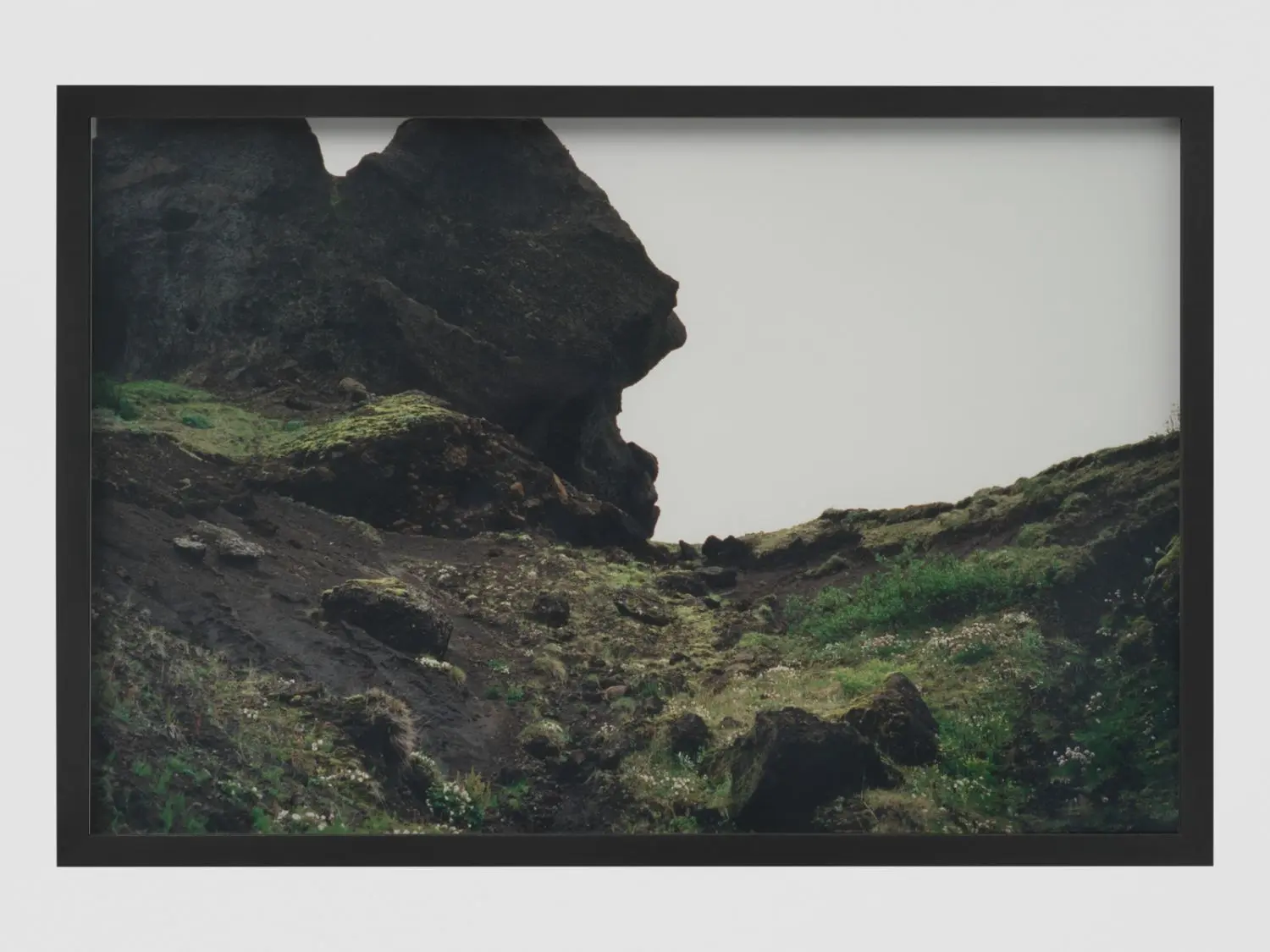 eliasson-KL1612-8-thorsmork-close-up-series