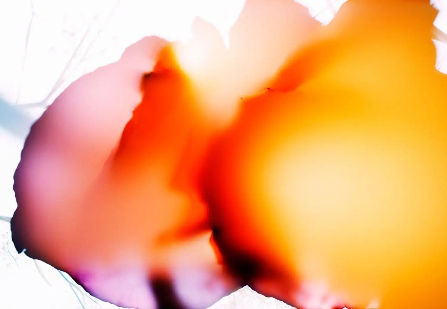 evans-j-KL2311-2-untitled