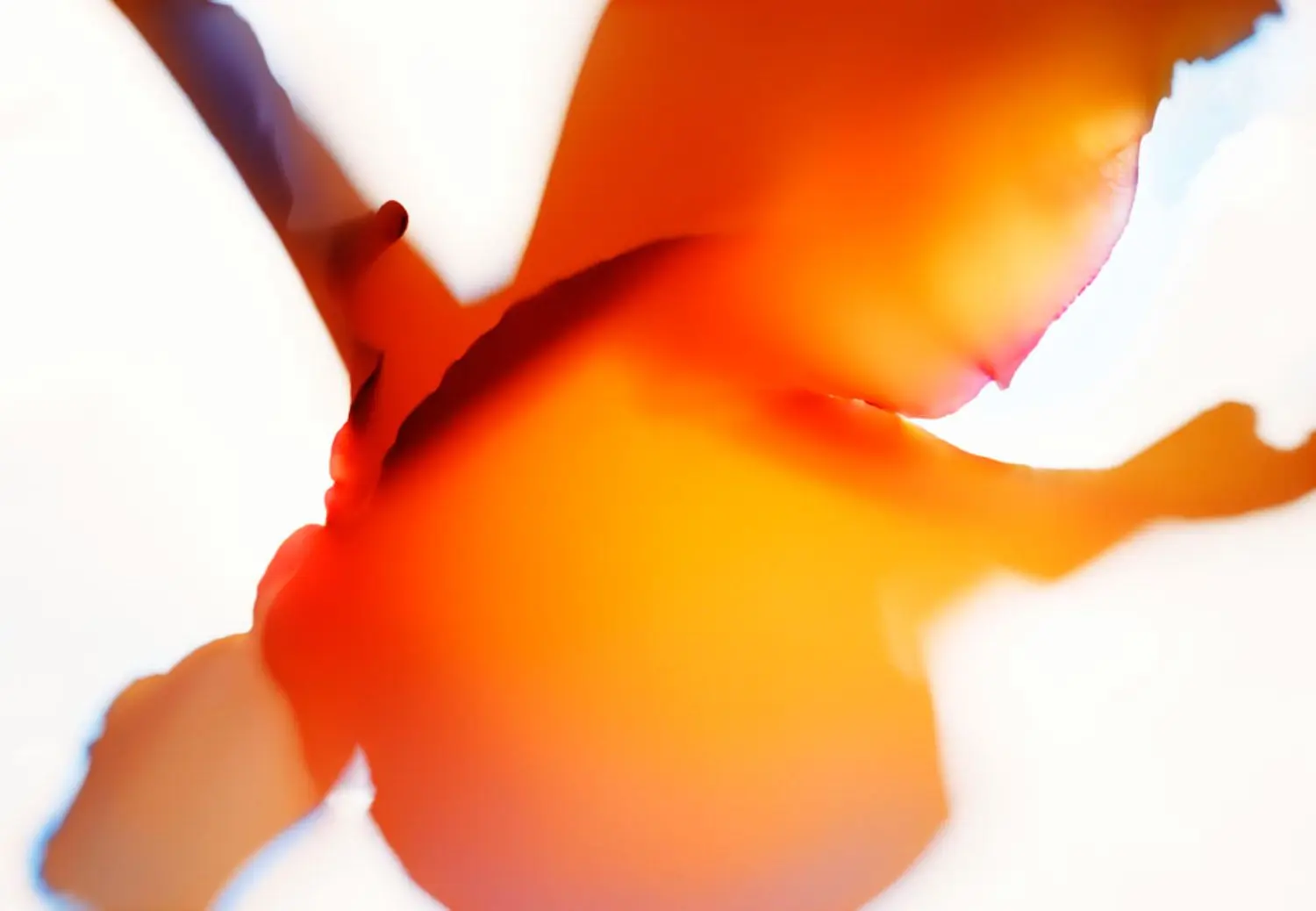 evans-j-KL2311-3-untitled