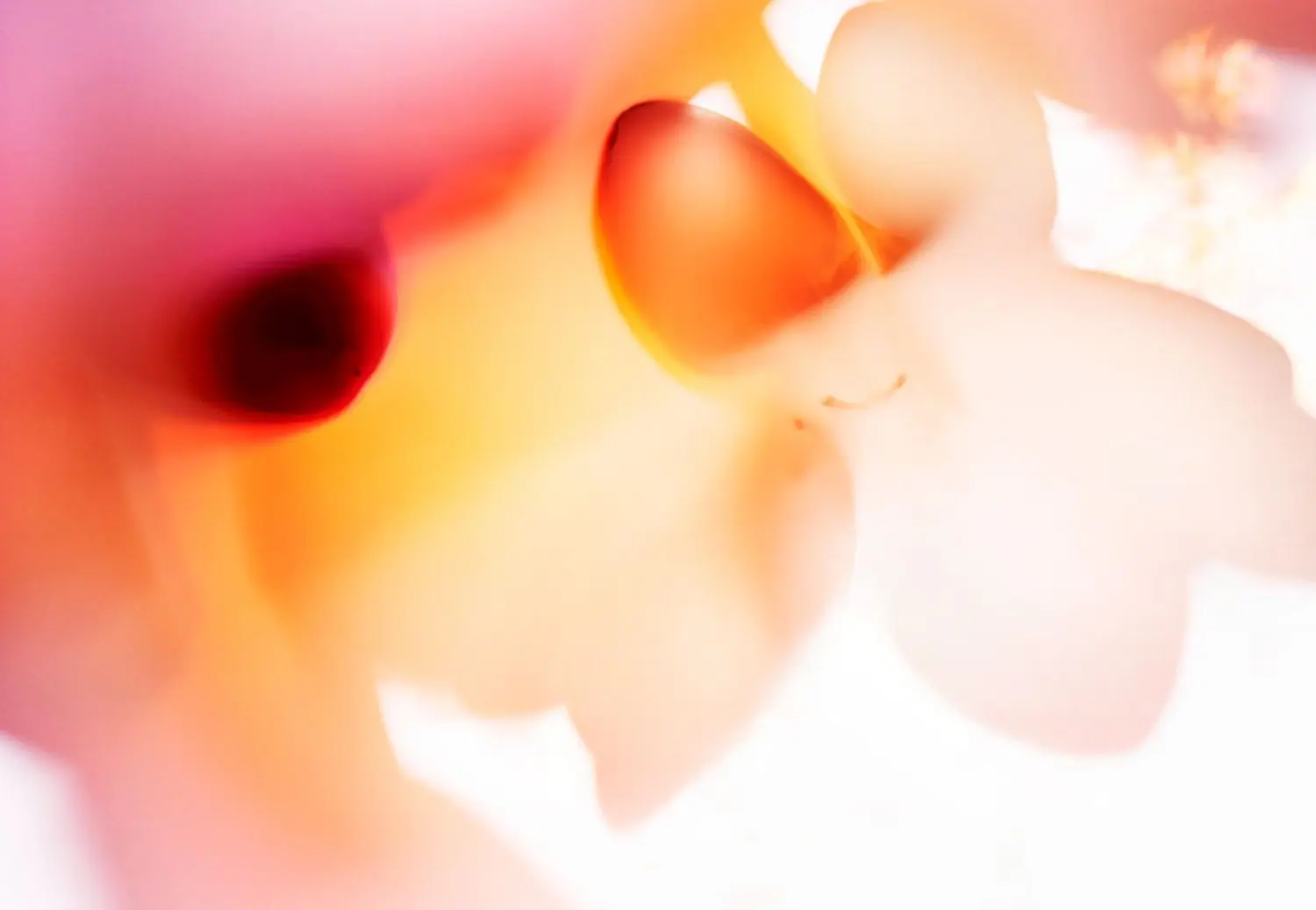 evans-j-KL2311-4-untitled