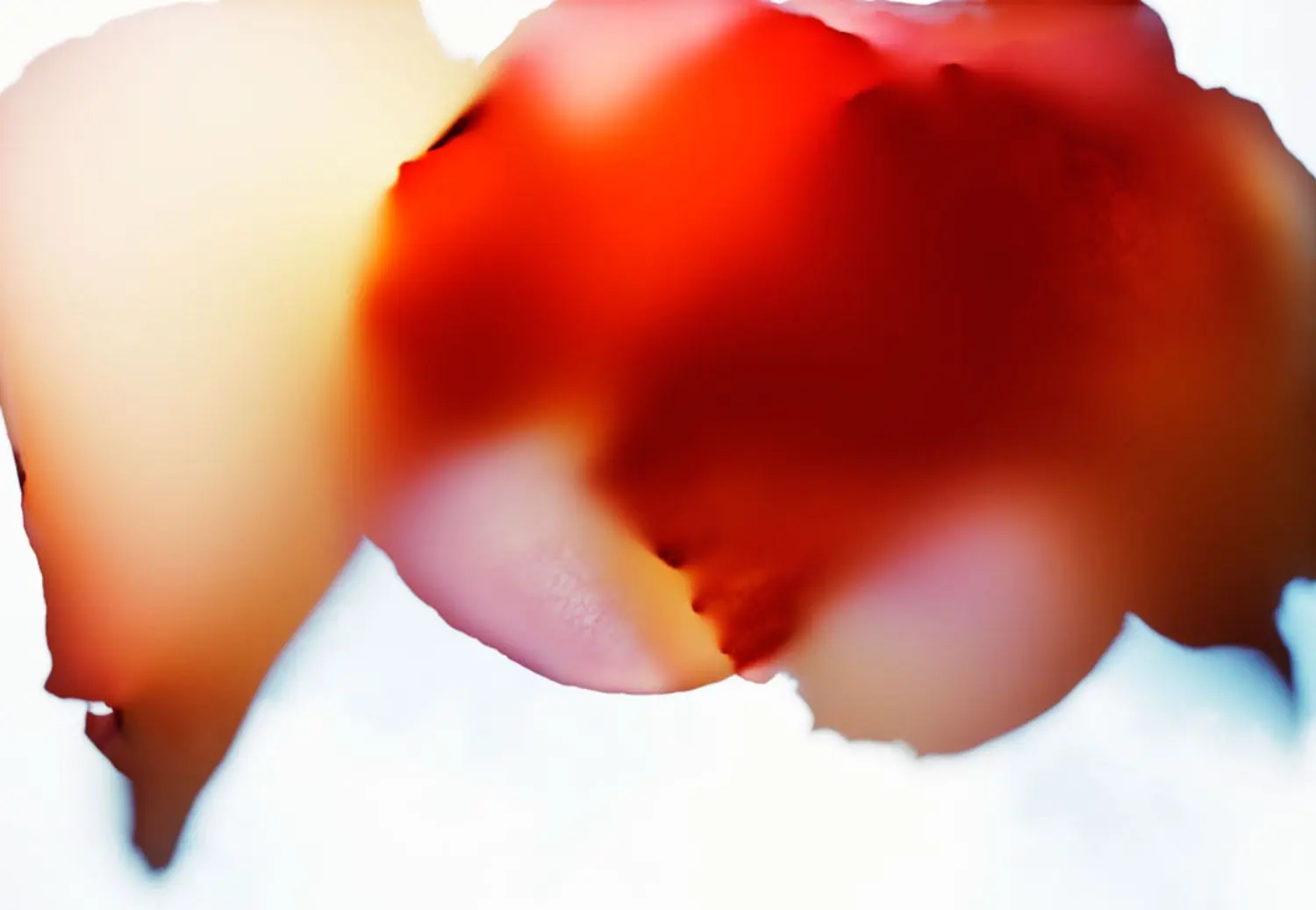 evans-j-KL2311-5-untitled