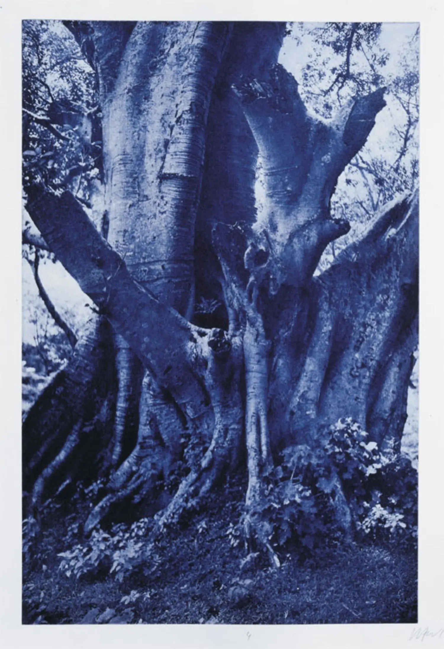 federle-KL1582-blue-sisters