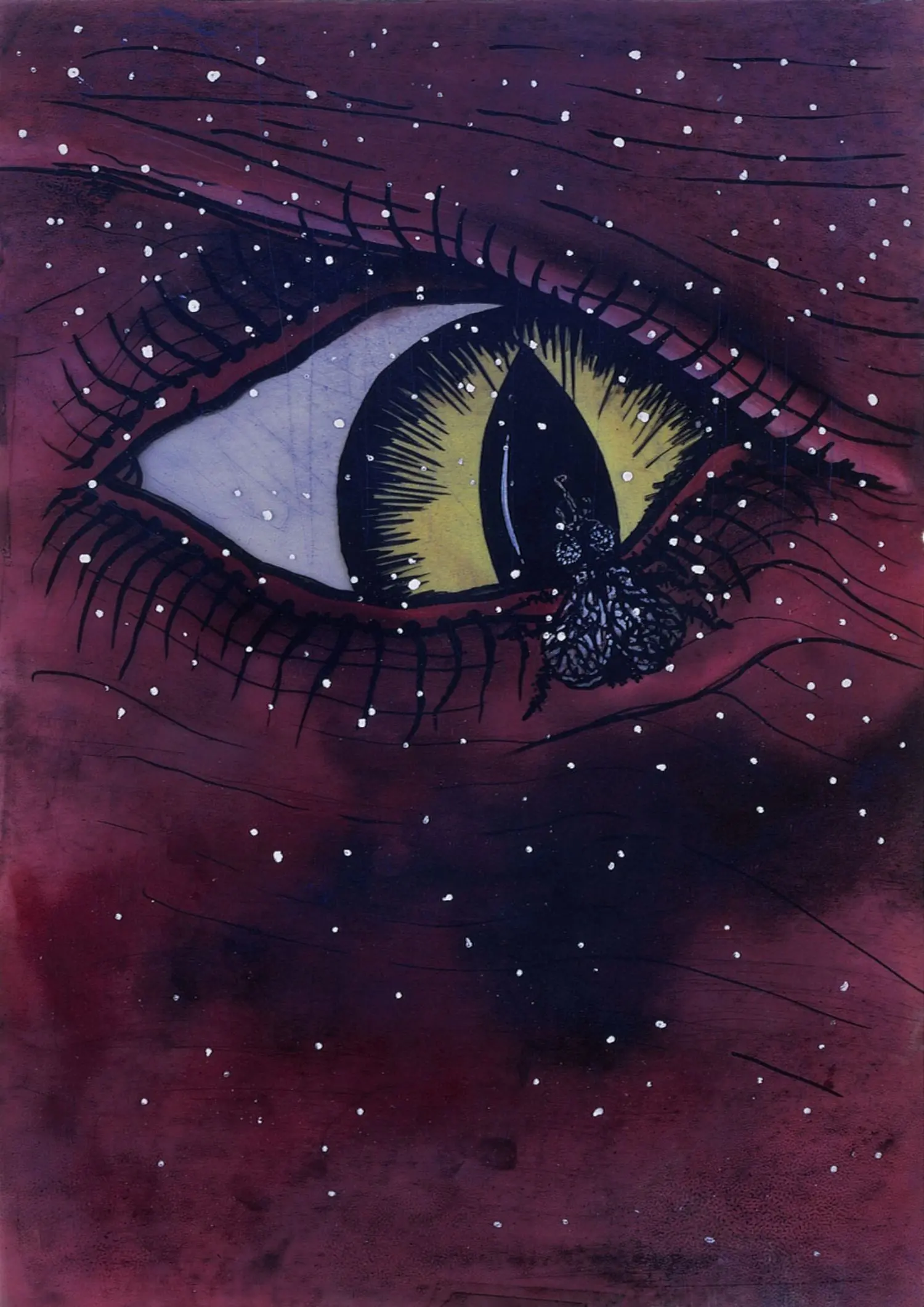 fischer-KB0769-1-not-again