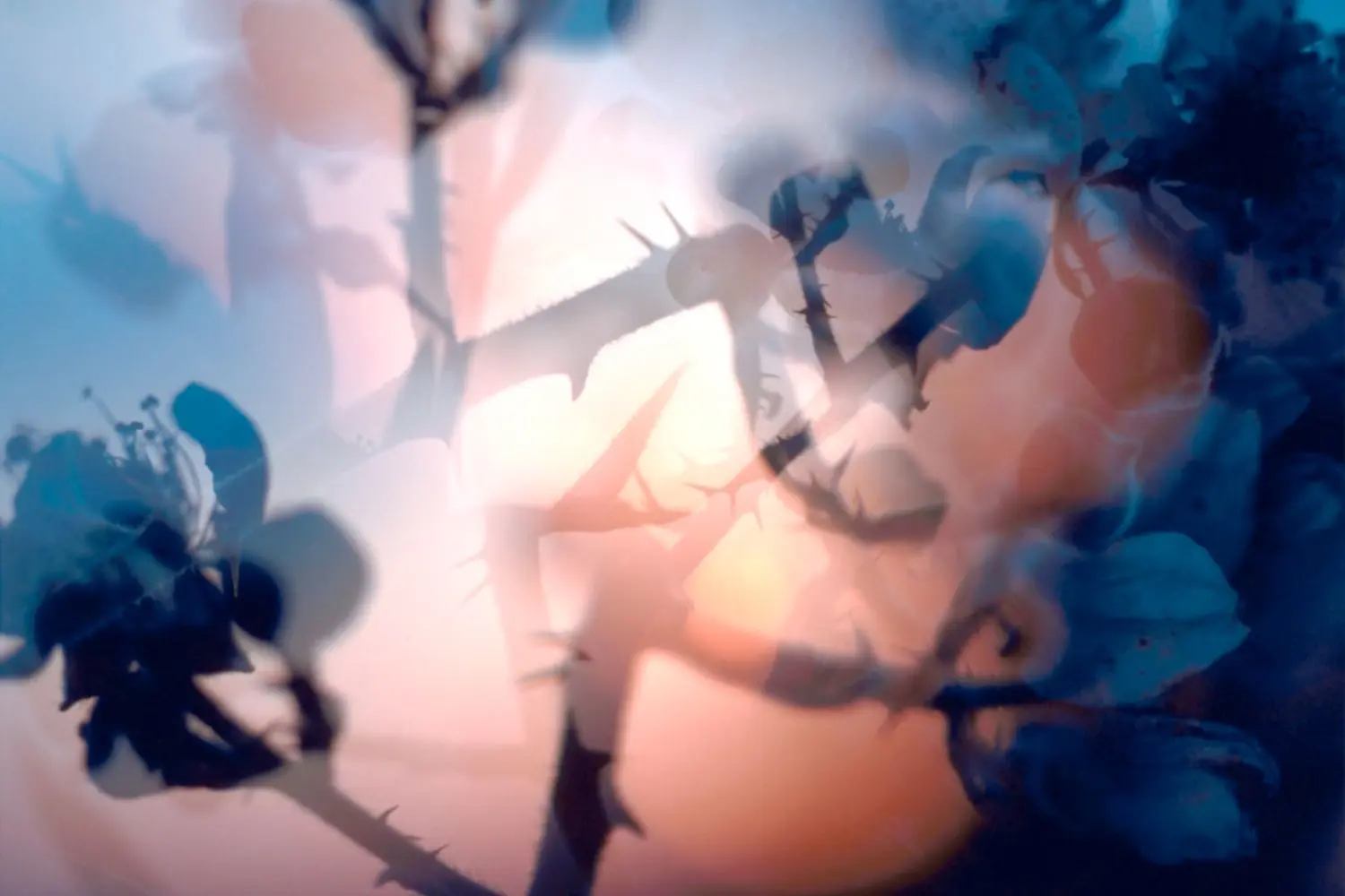 fischli-weiss-KL1524-untitled