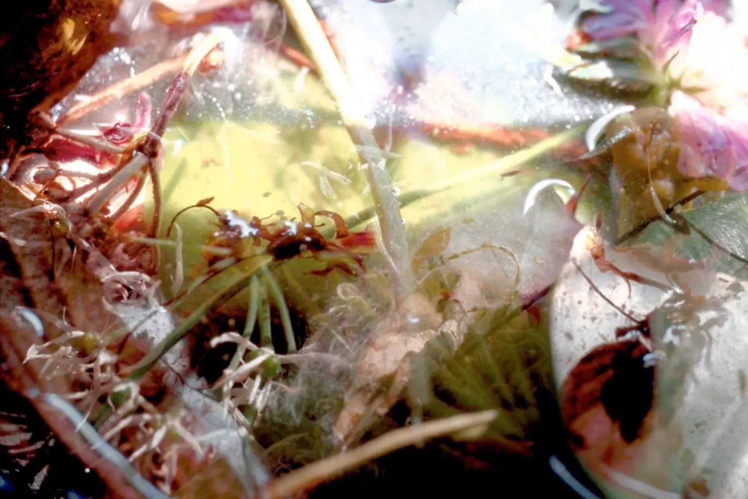 fischli-weiss-KL1526-untitled