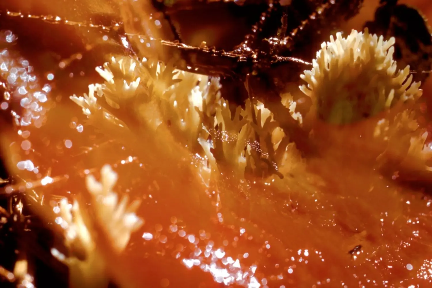 fischli-weiss-KL1537-untitled