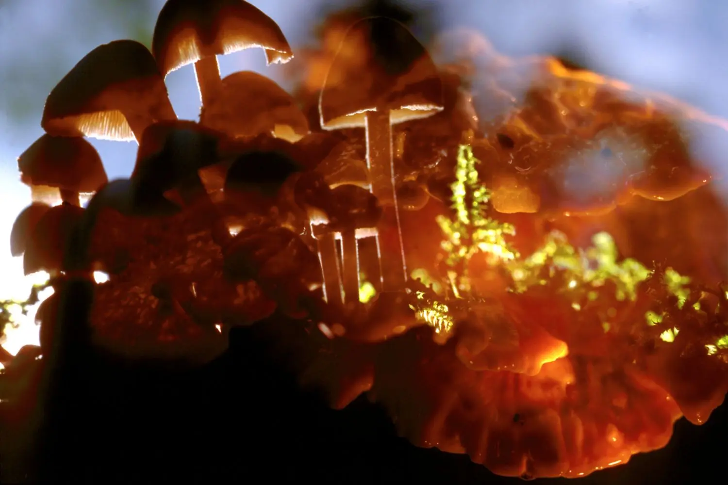 fischli-weiss-KL1538-untitled