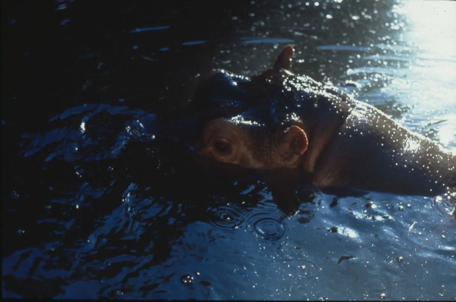 fischli-weiss-KL1686-3-untitled