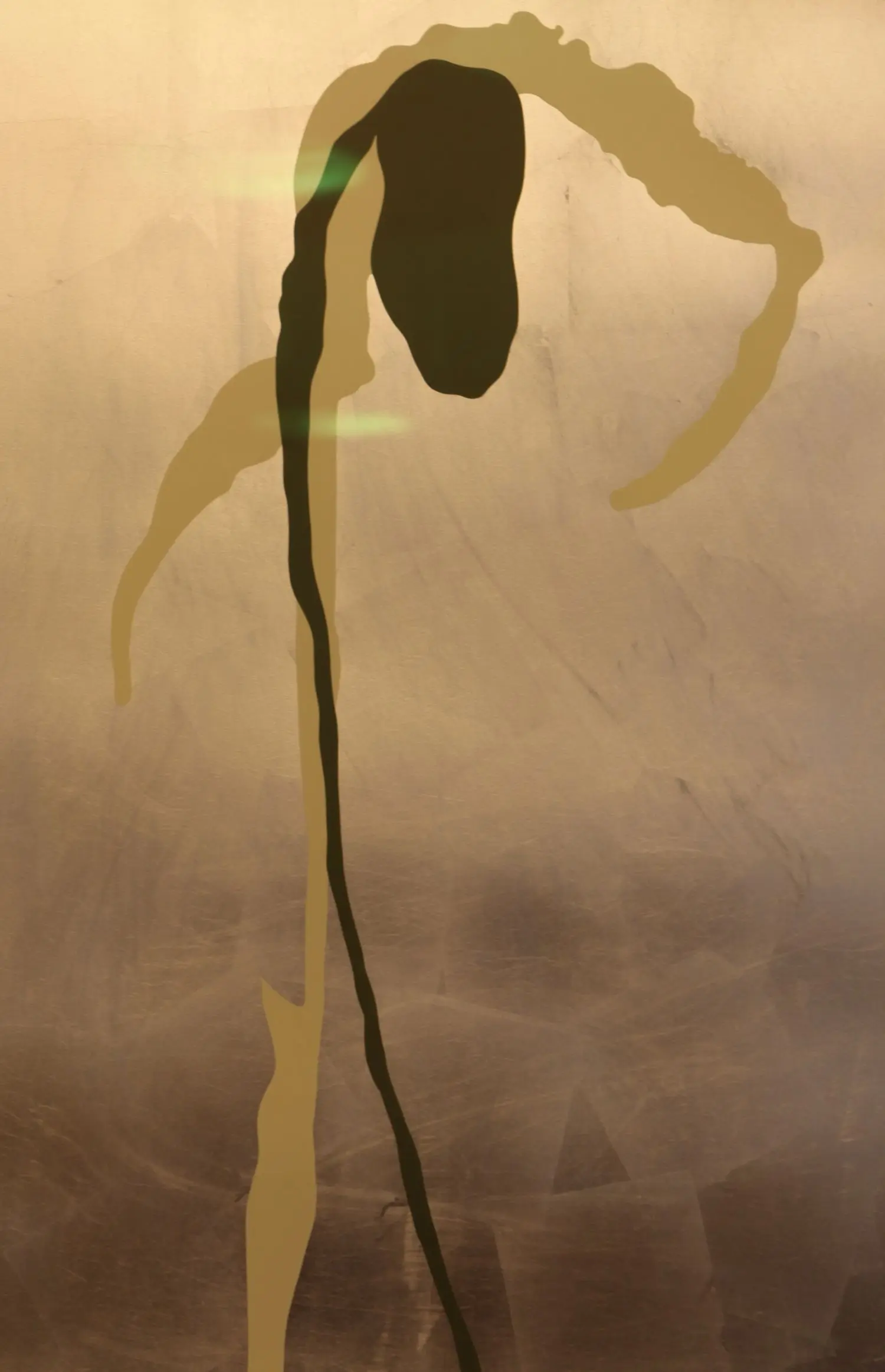 hume-KL1733-nicola-as-orchid