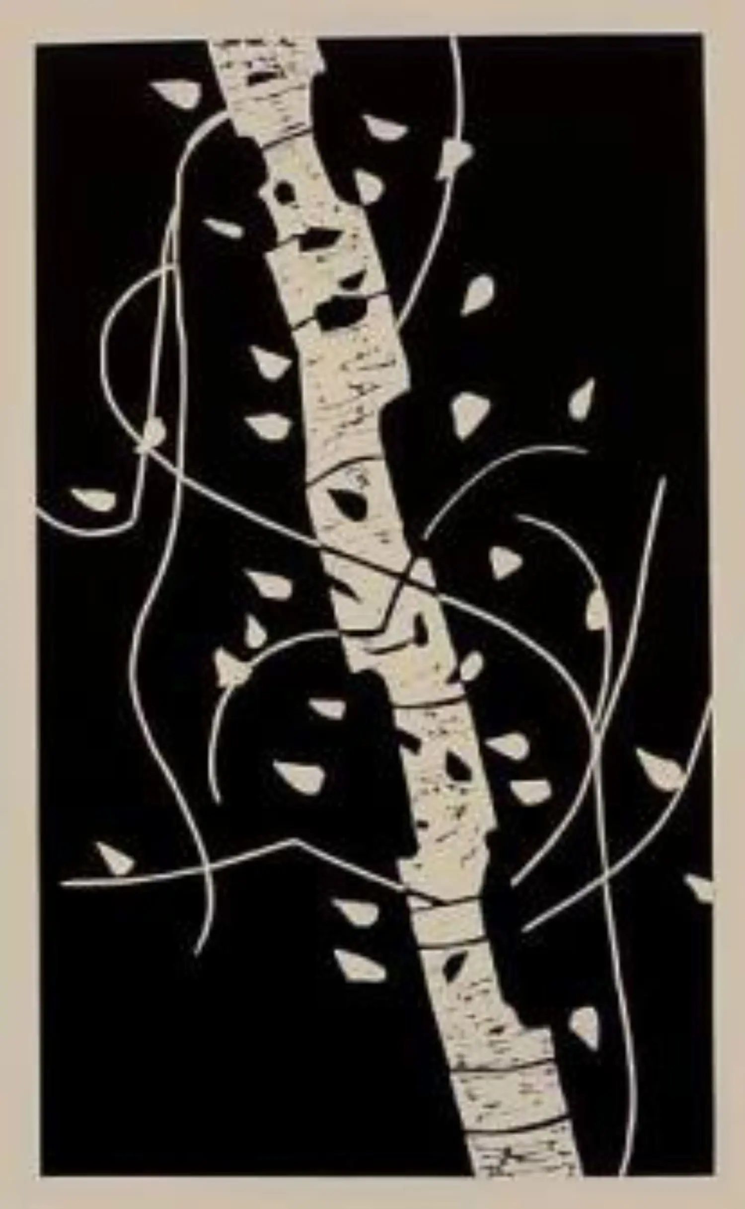 katz-KL1773-large-birch