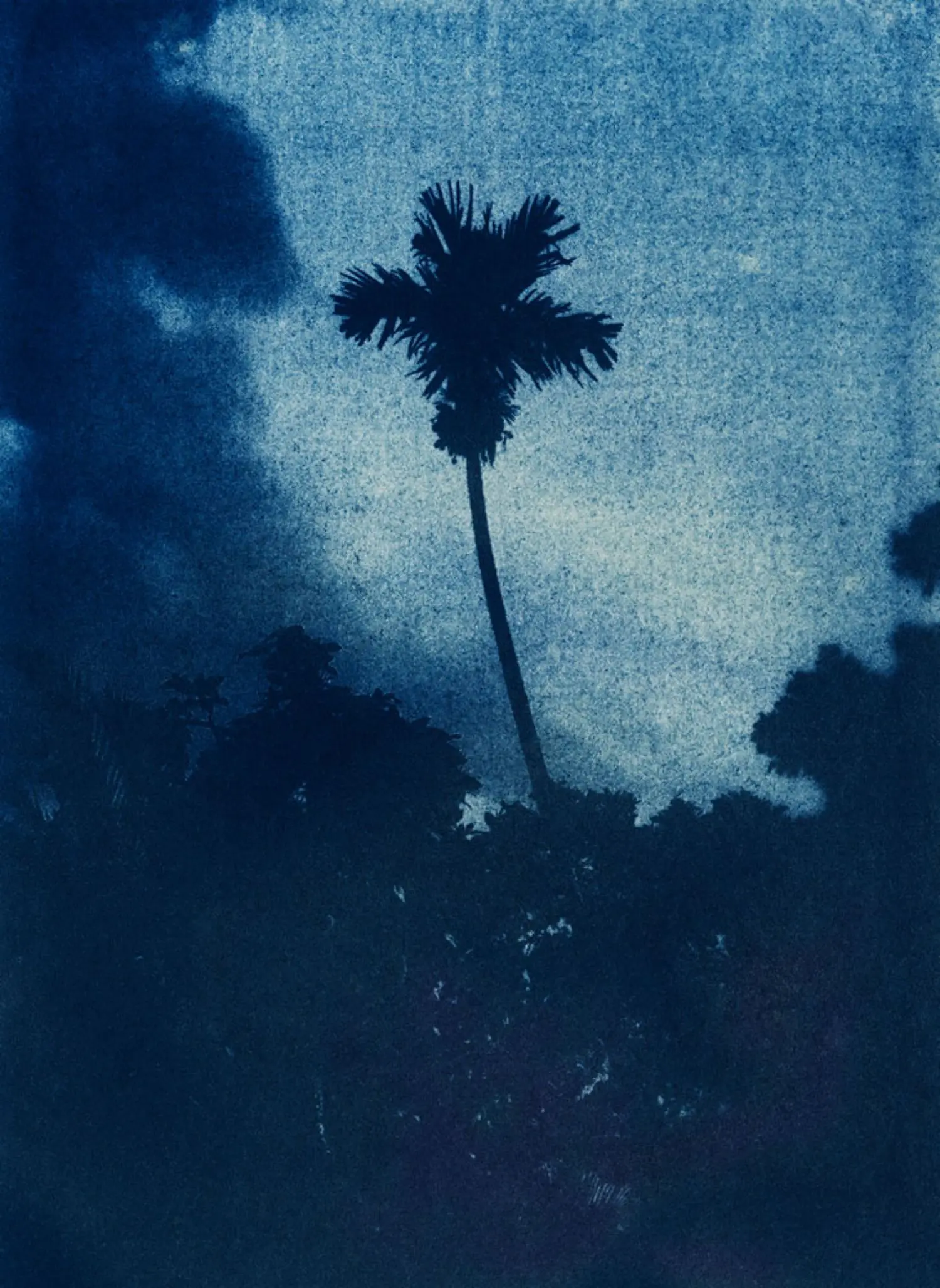 mandry-KL2307-1-5min-to-the-sun-areca