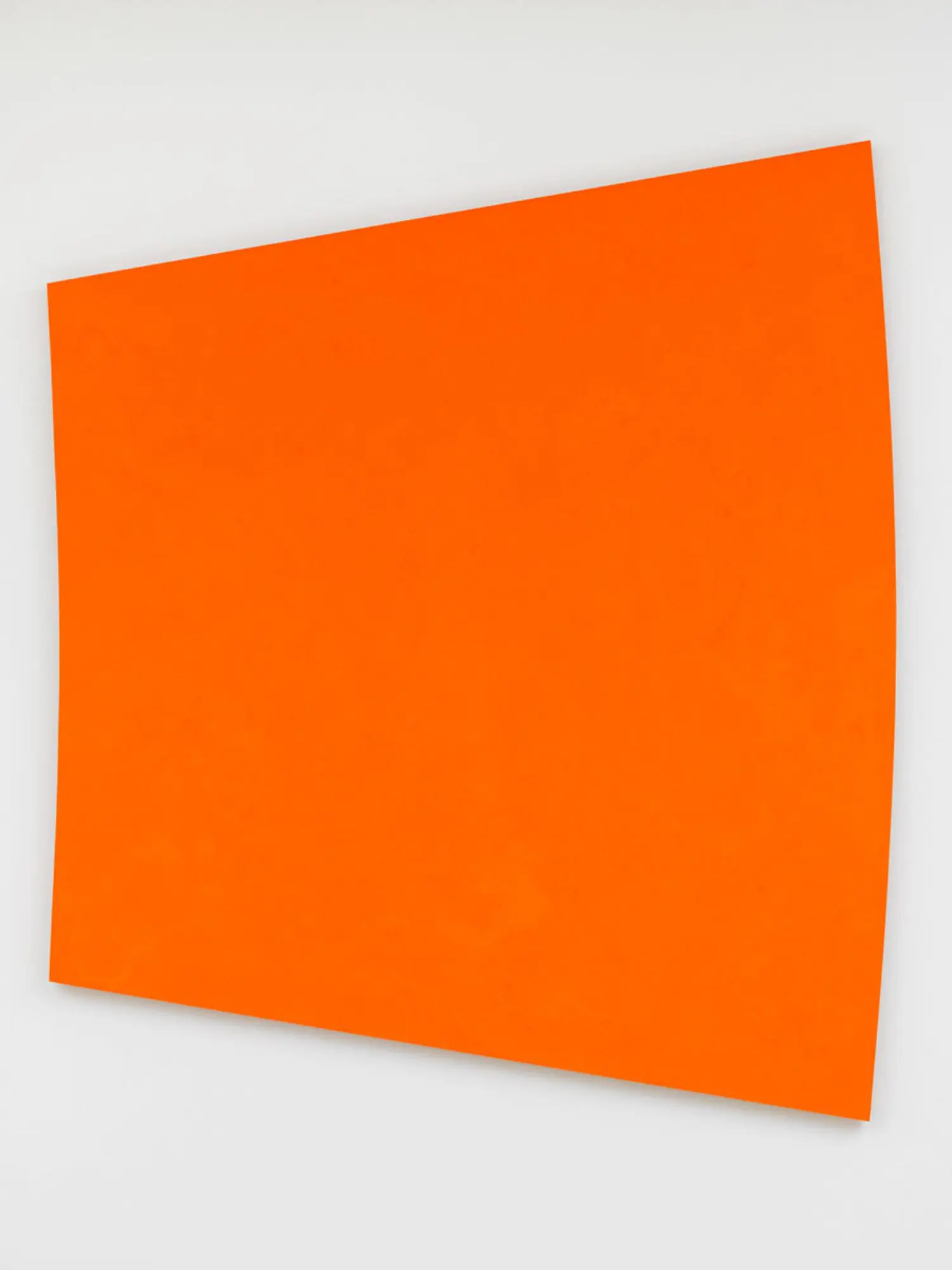 rodriguez-KB0992-limbs