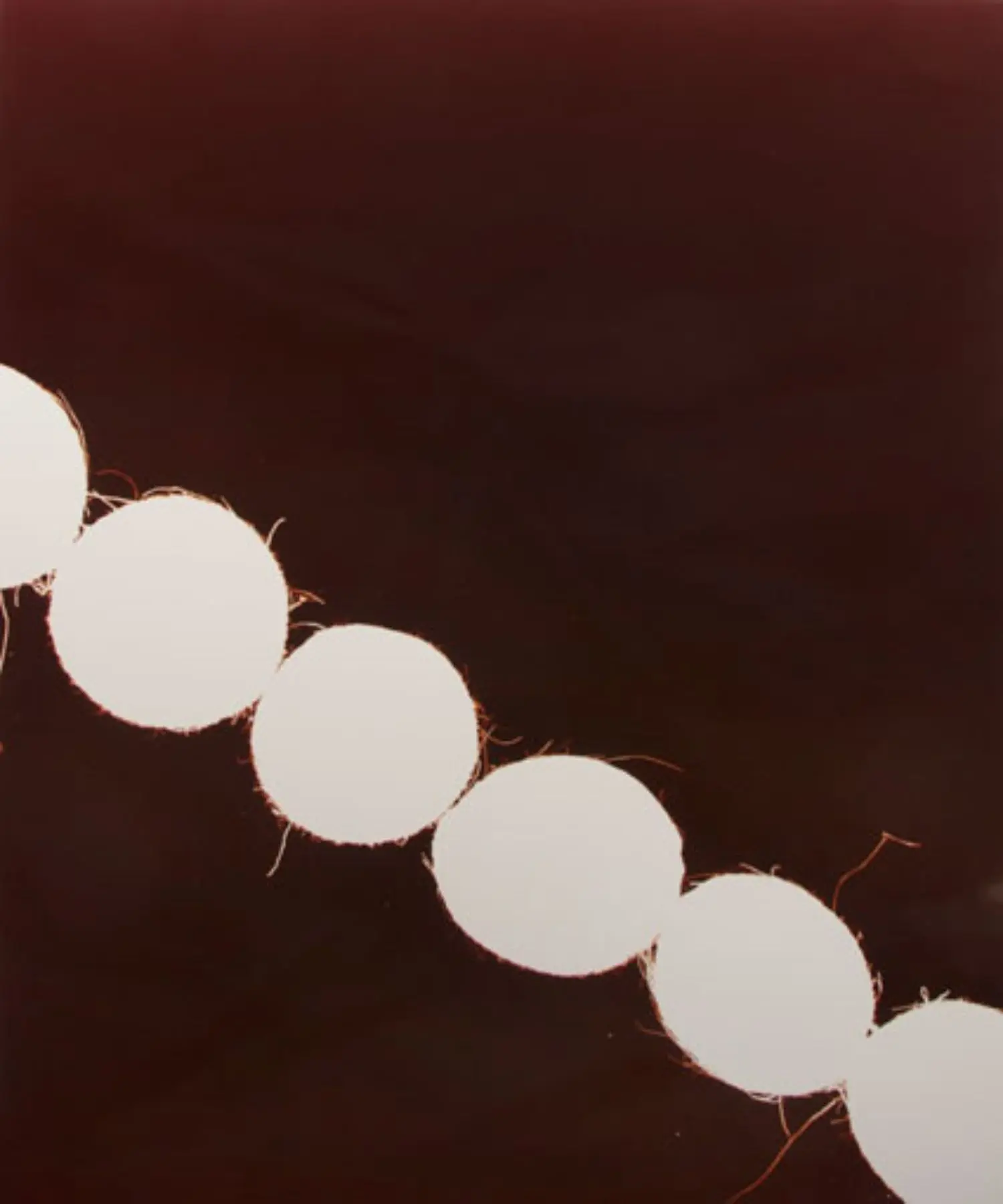 roldan-KB0950-10-indian-file