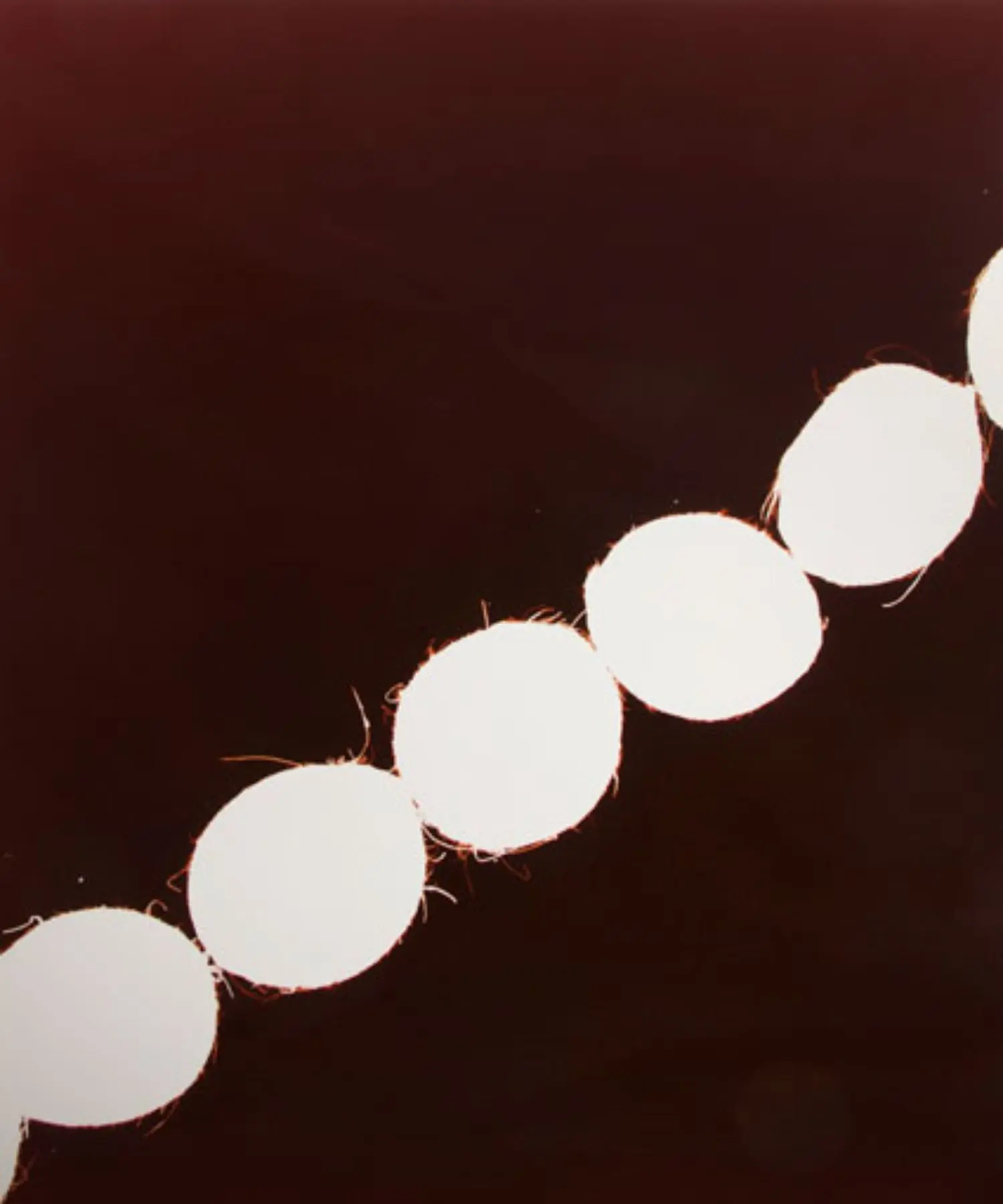 roldan-KB0950-6-indian-file