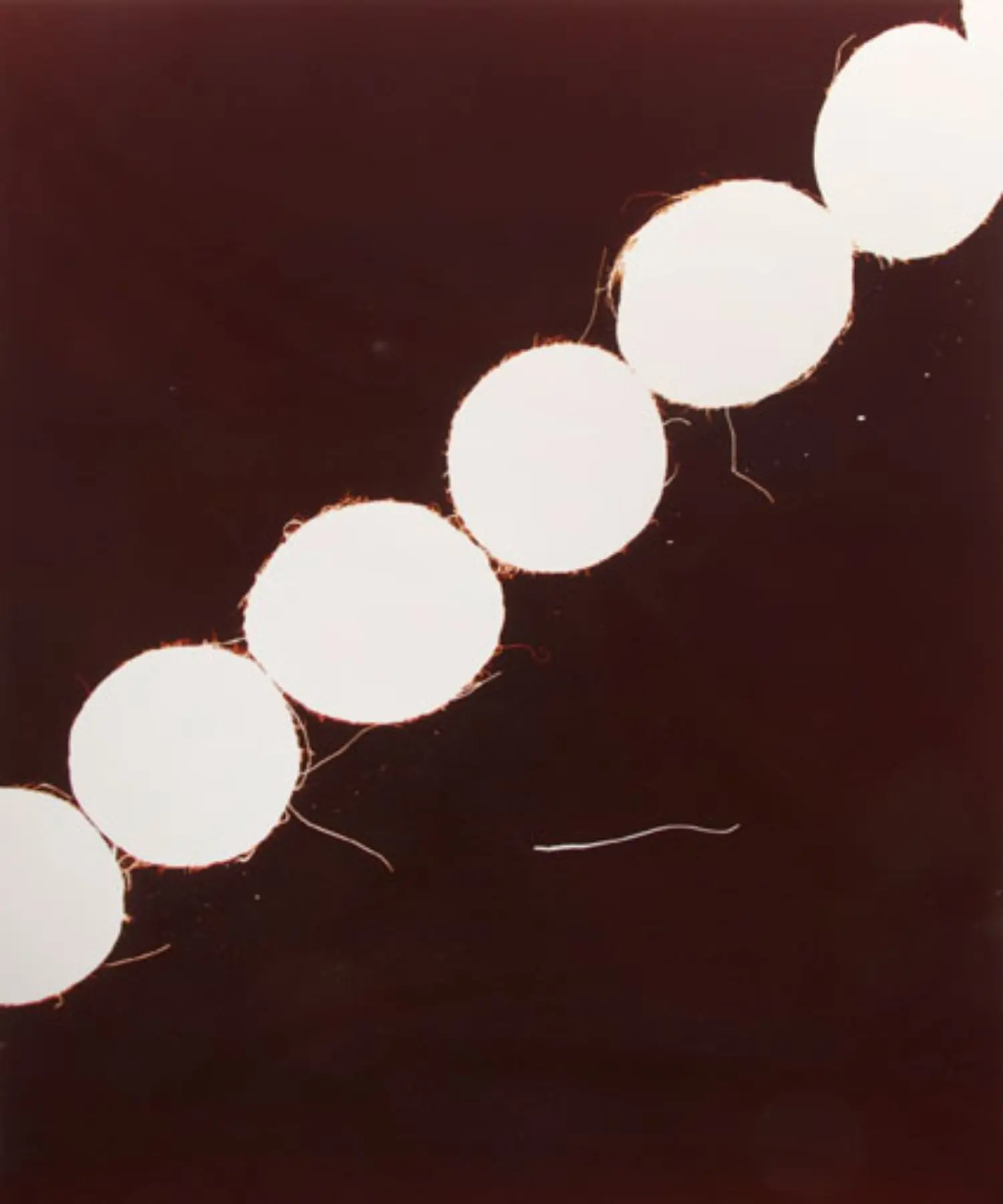 roldan-KB0950-7-indian-file