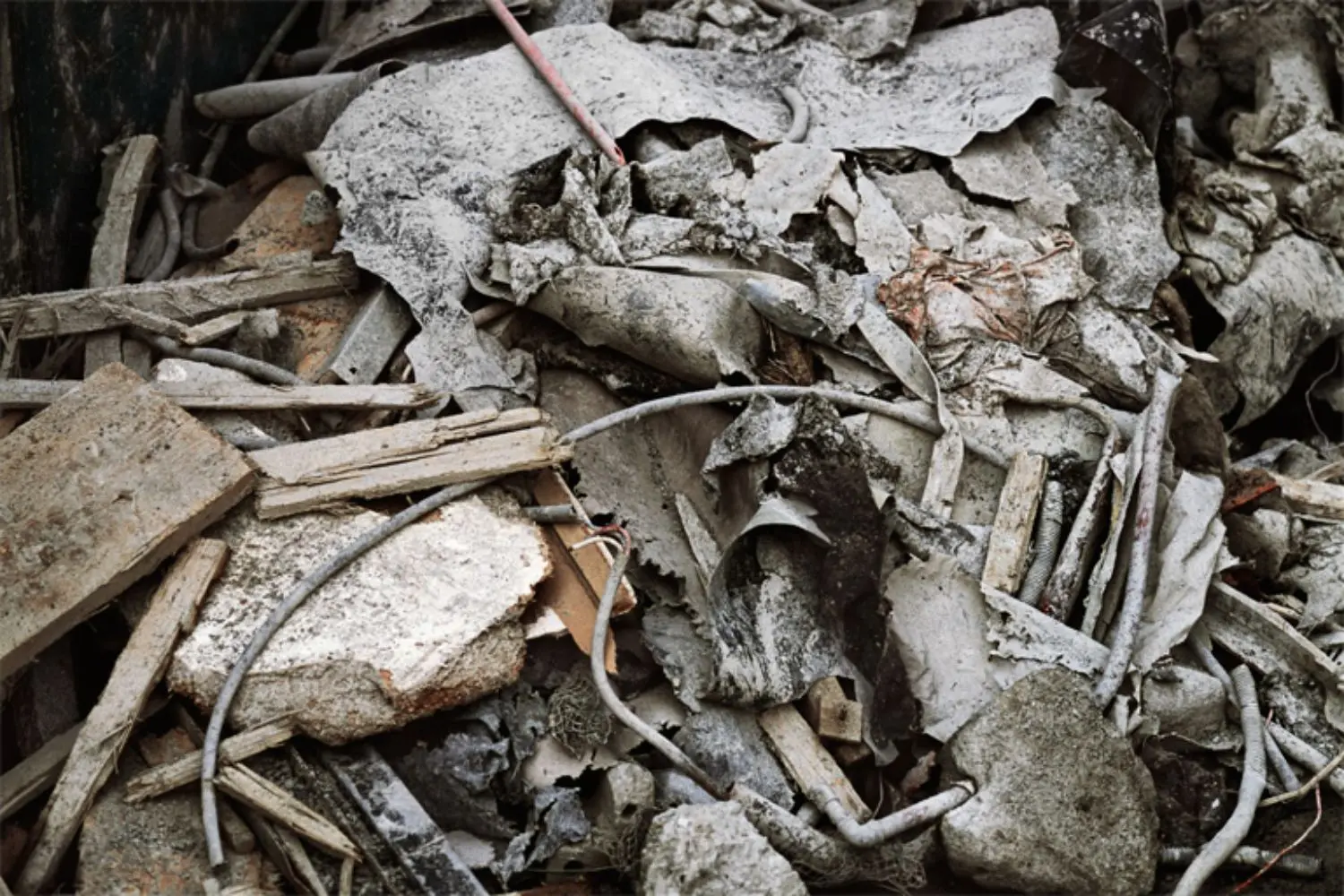 scholz-KL2273-3-verwandlung