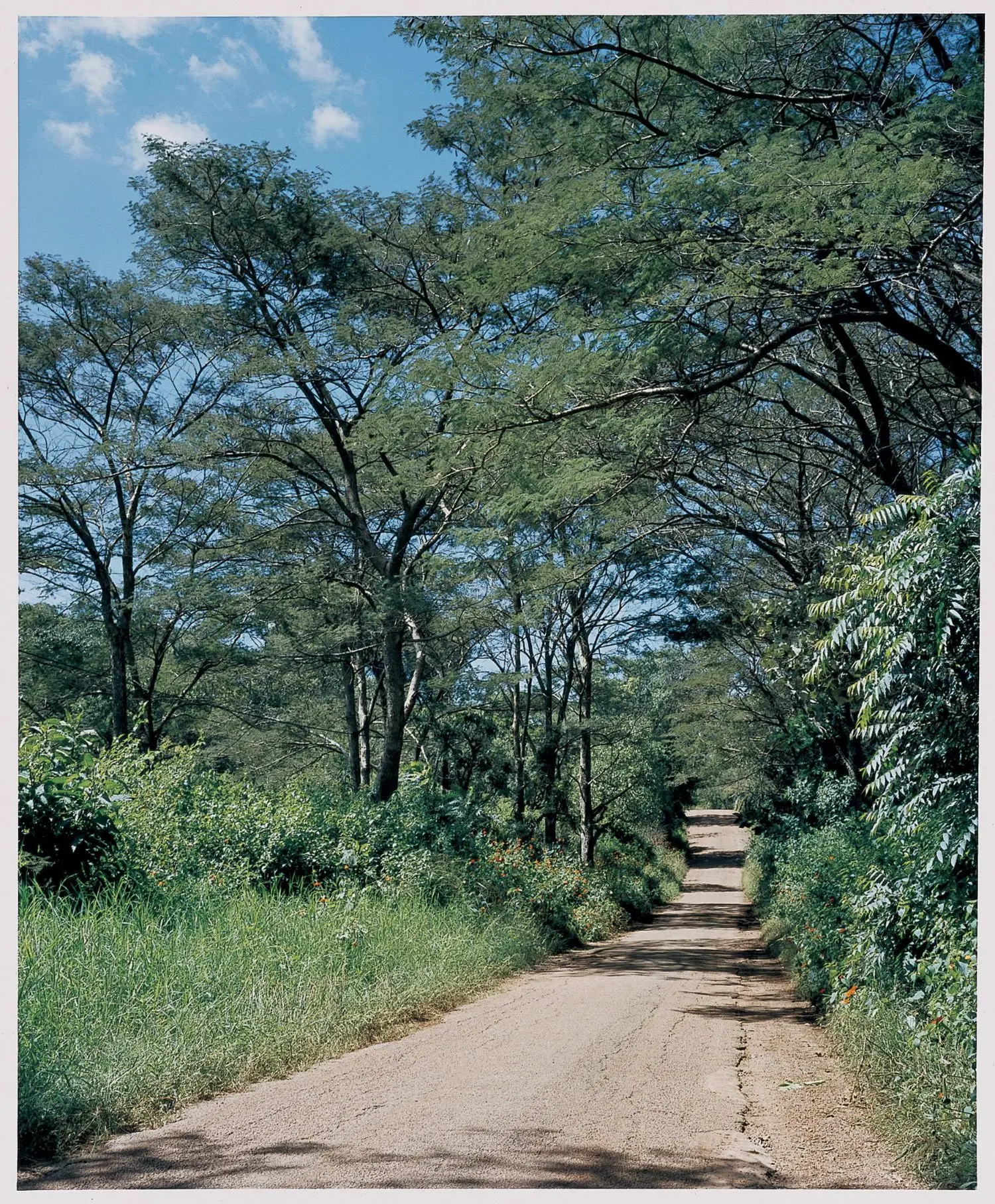 shahbazi-KL1871-sango