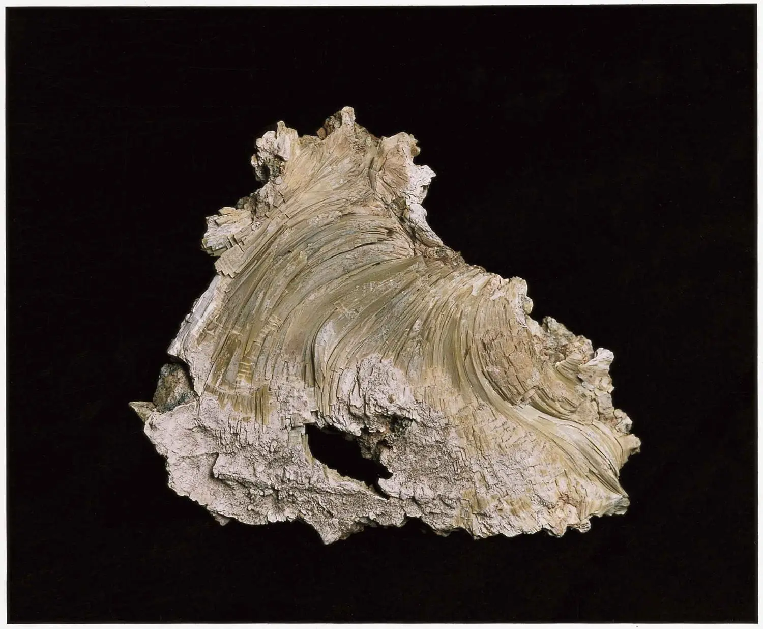 shahbazi-KL1872-mineral