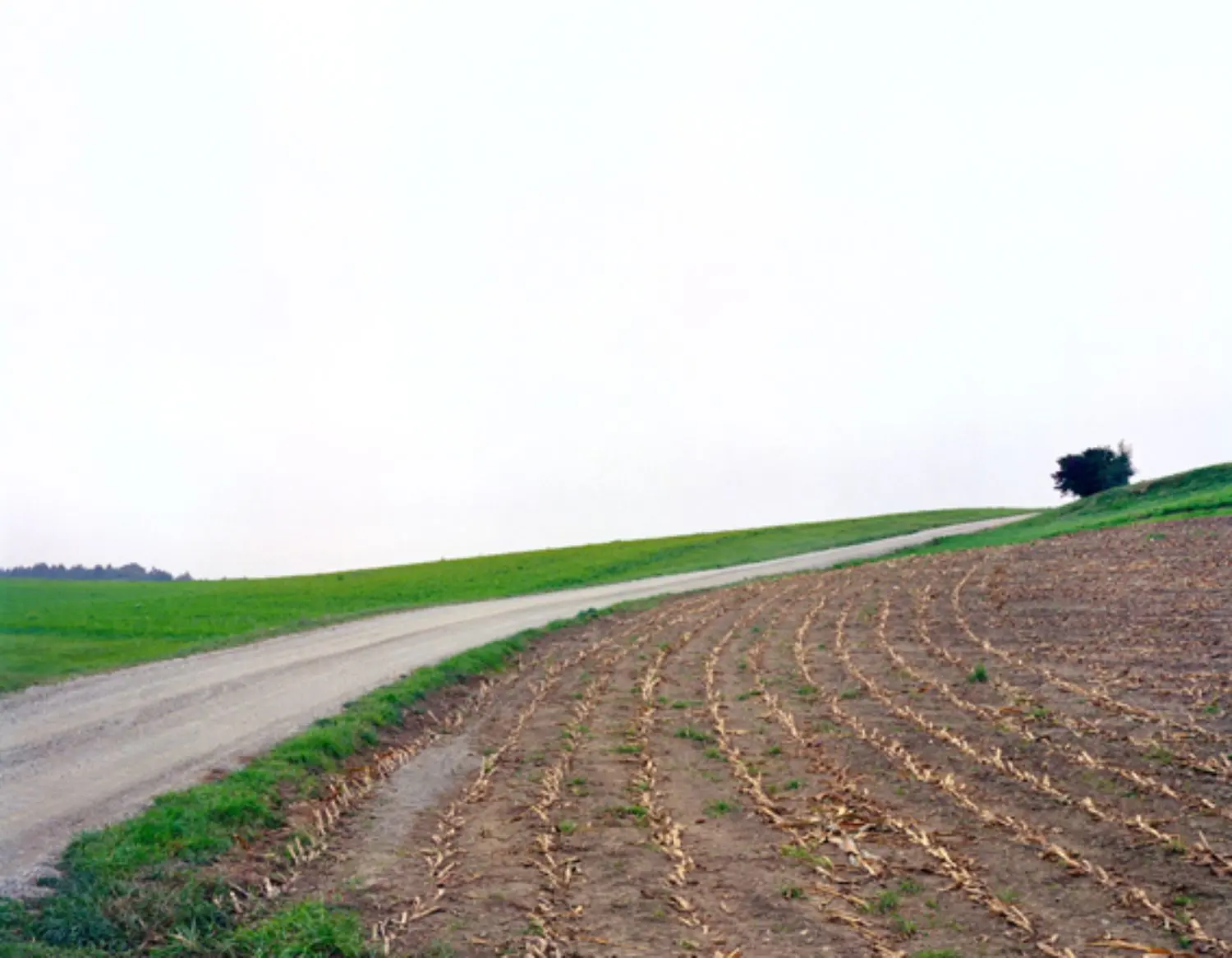 struth-KB0725-mais-acker