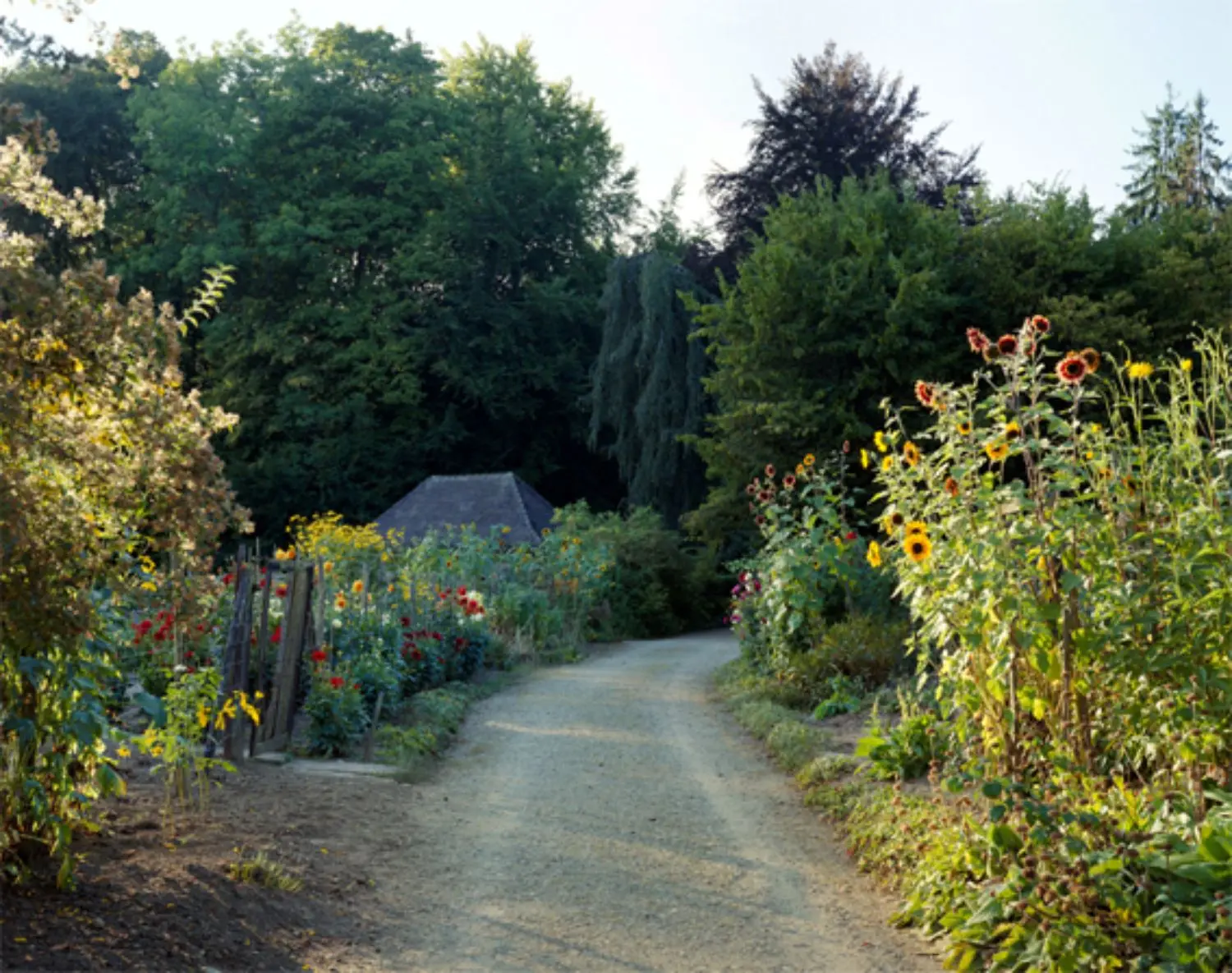 struth-KL1501-garten