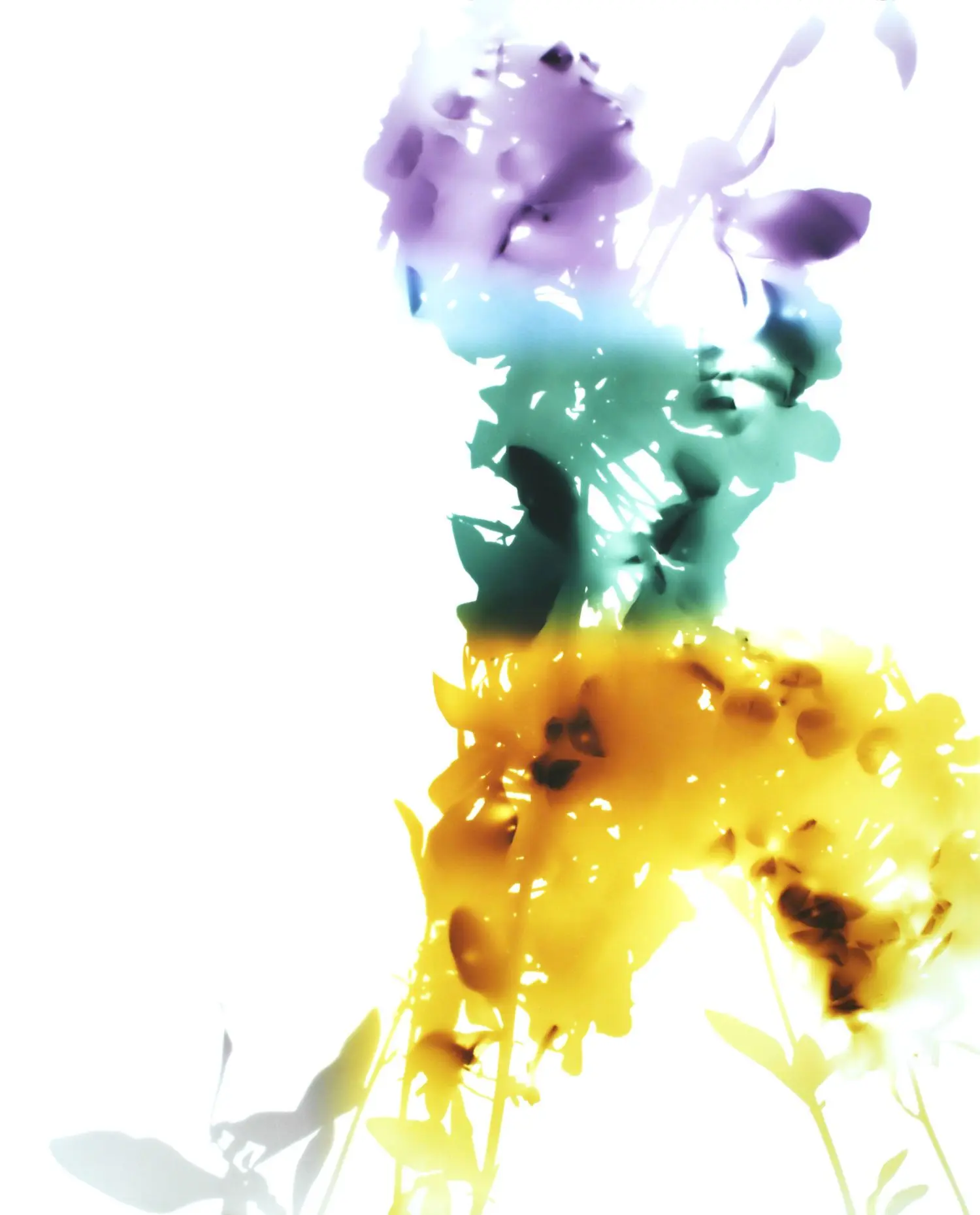 welling-KL1850-flowers