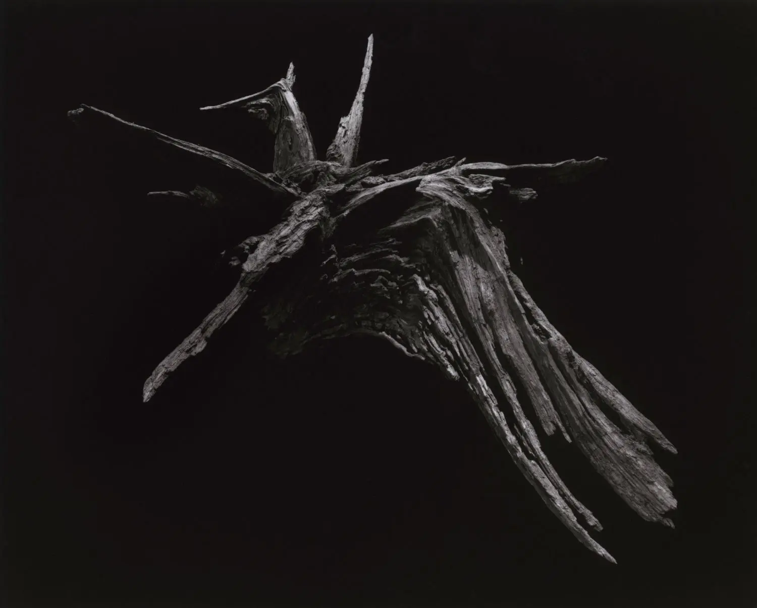 yamamoto-KL2217-1-3005-pegasus