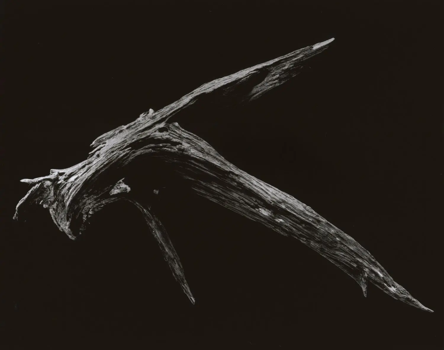 yamamoto-KL2217-10-3024-falcon