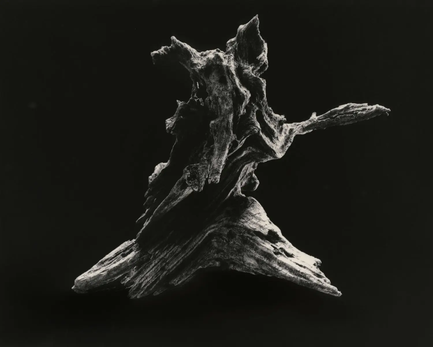 yamamoto-KL2217-13-3037-dance-e