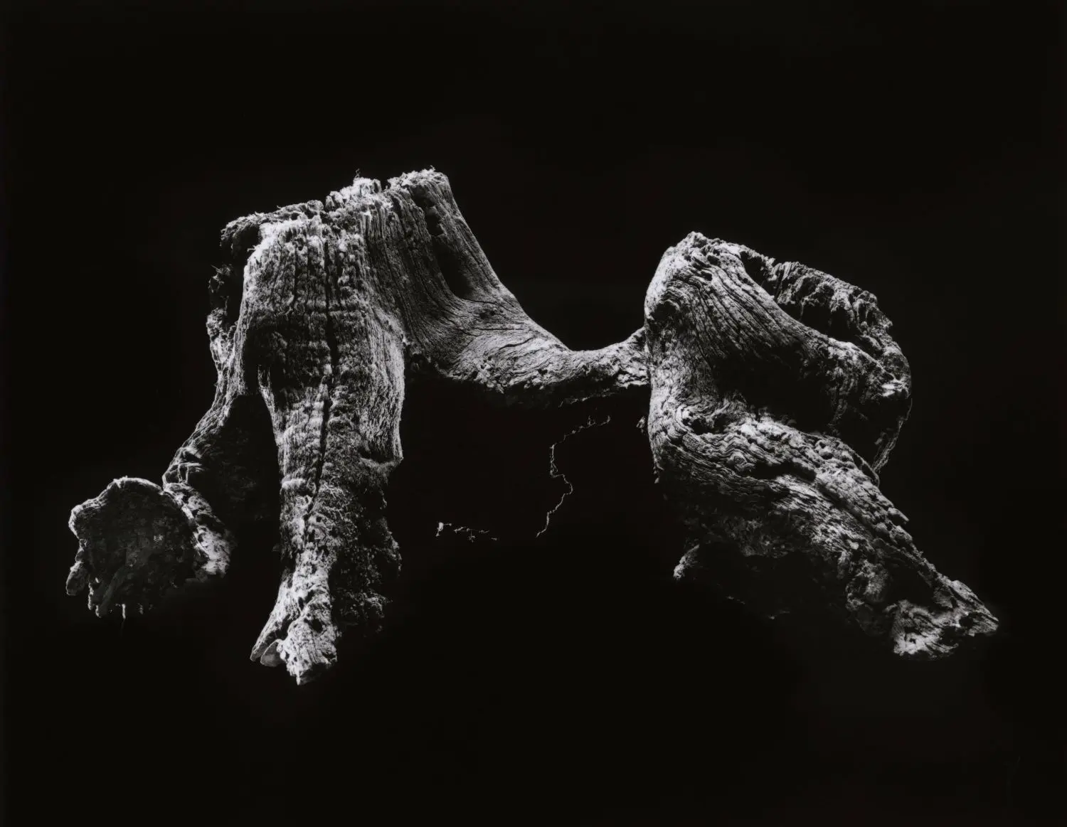 yamamoto-KL2217-2-3008-point