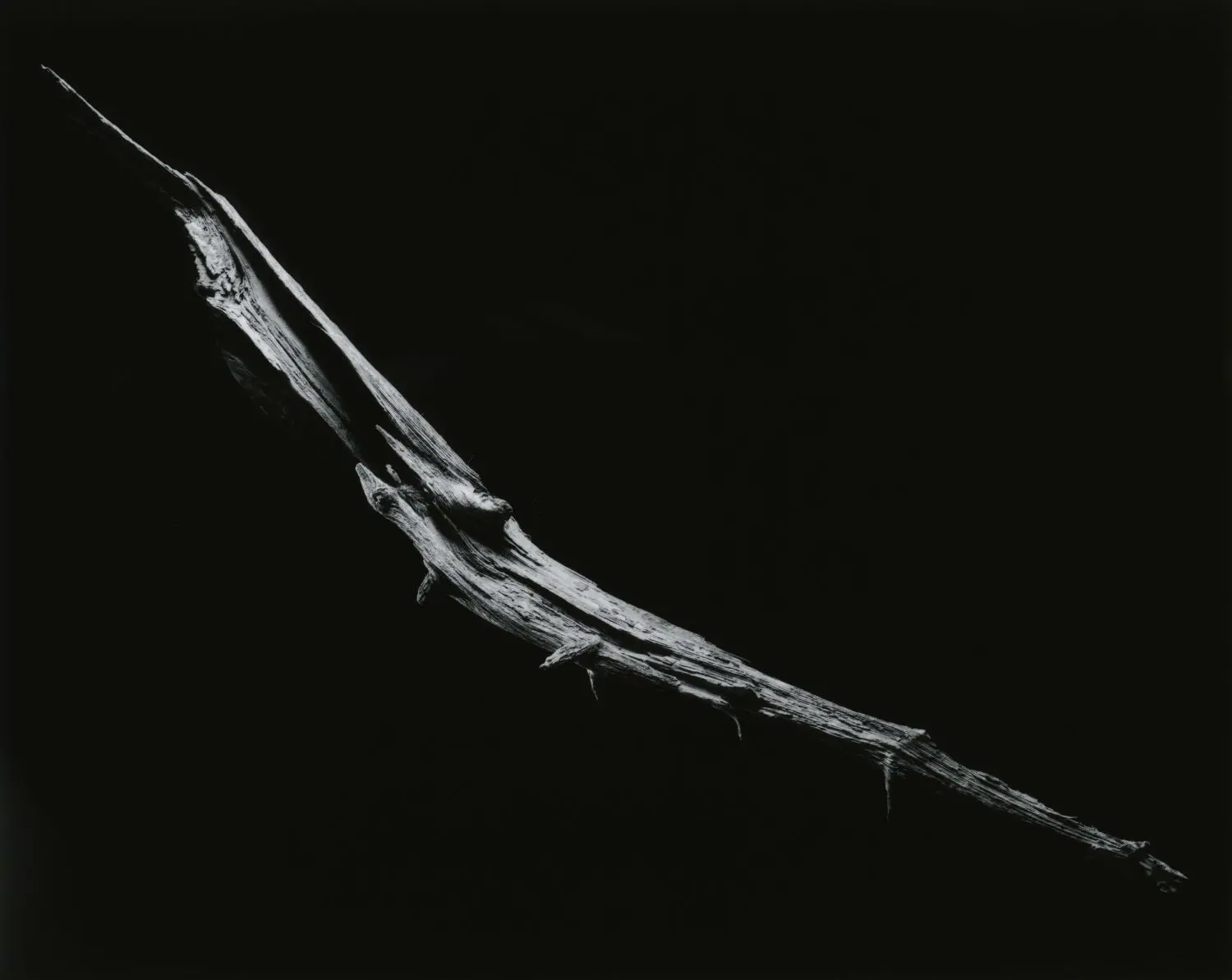 yamamoto-KL2217-3-3019-kon