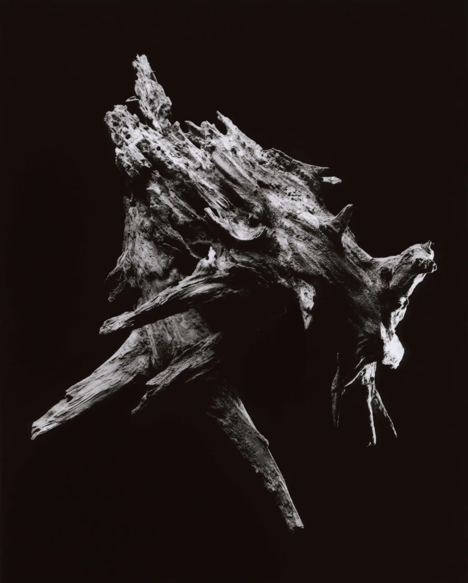 yamamoto-KL2217-4-3011-hunter