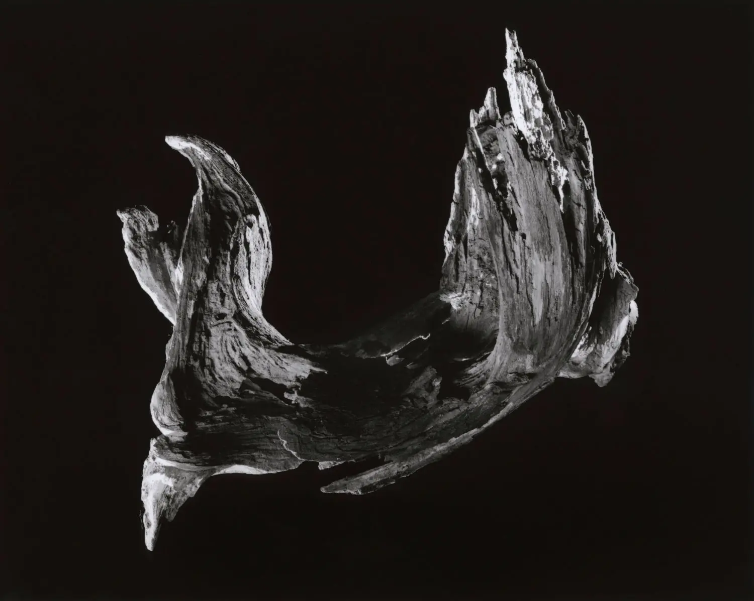 yamamoto-KL2217-6-3004-hop