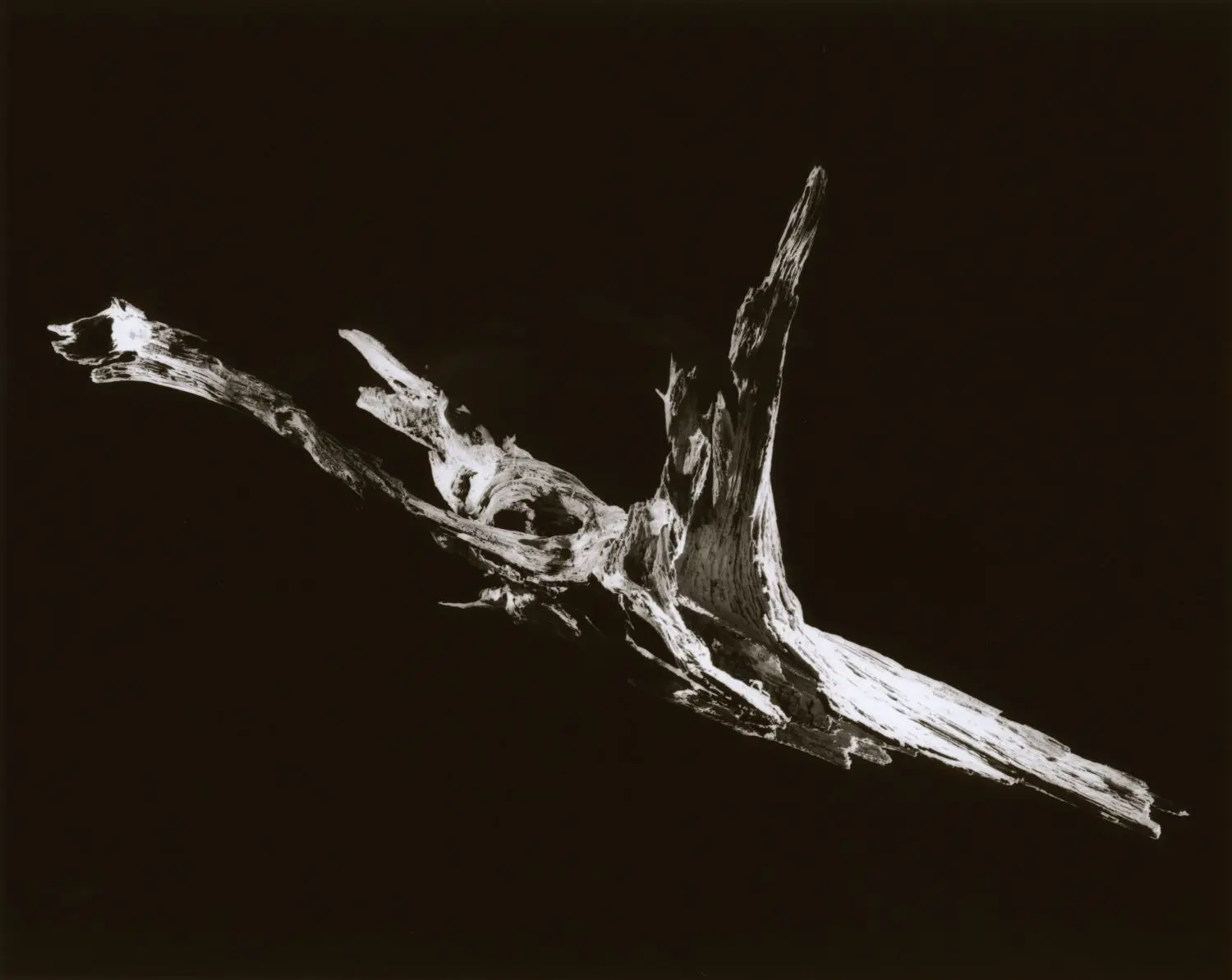 yamamoto-KL2217-7-3016-ho