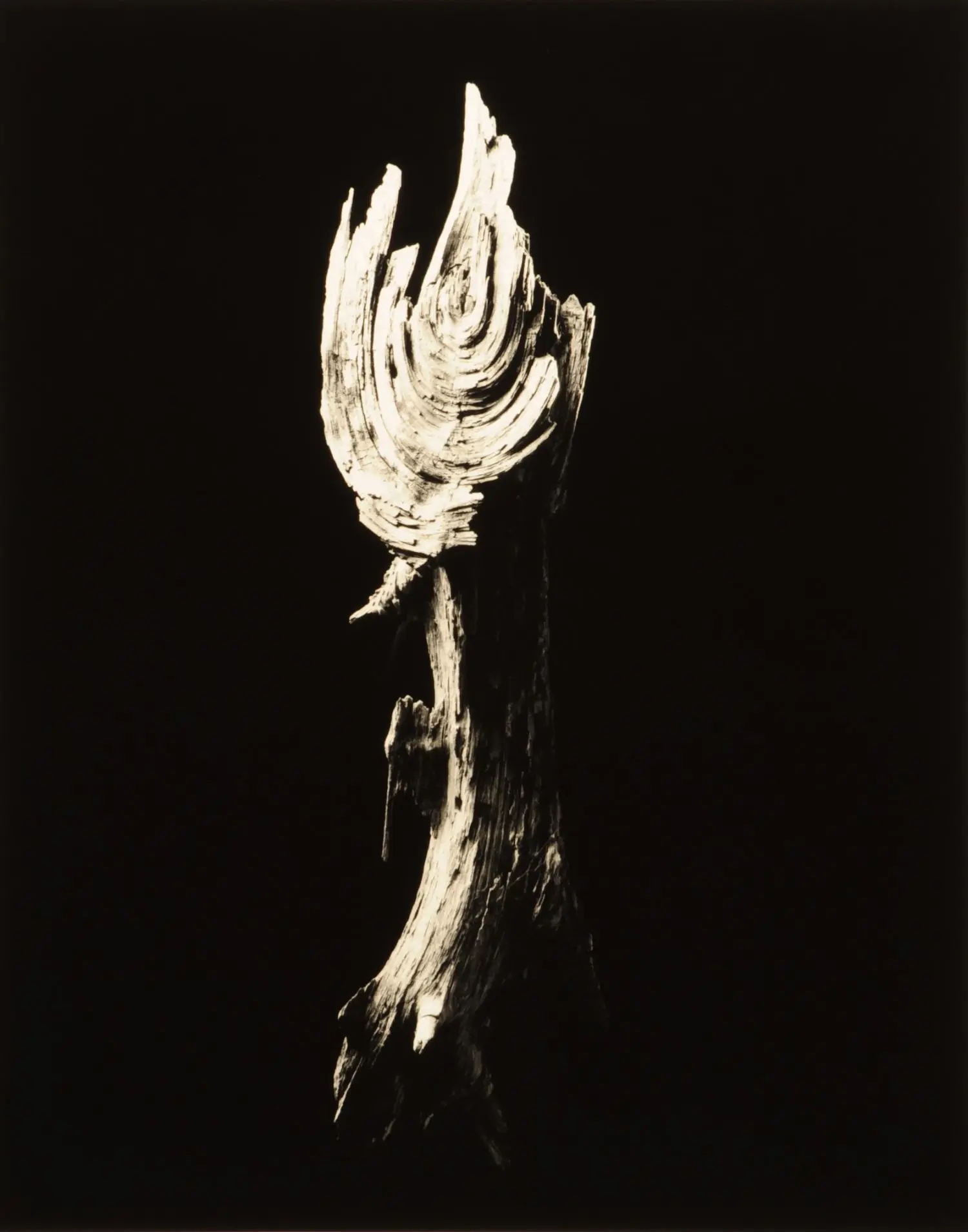 yamamoto-KL2217-9-3009-torch