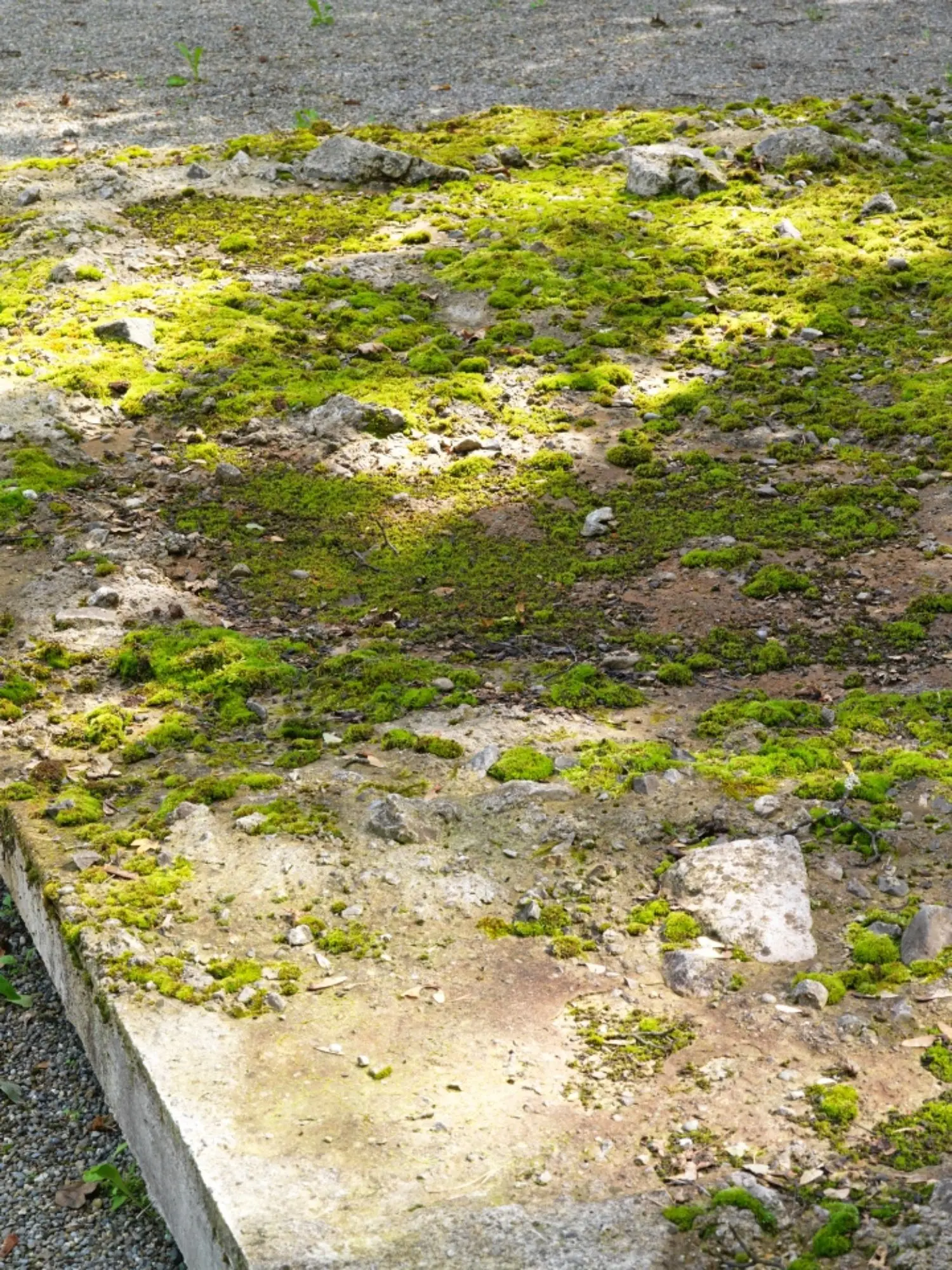 The artists created two specifically for the 10-year anniversary of the Centre for Global Dialogue in Rüschlikon in 2010.