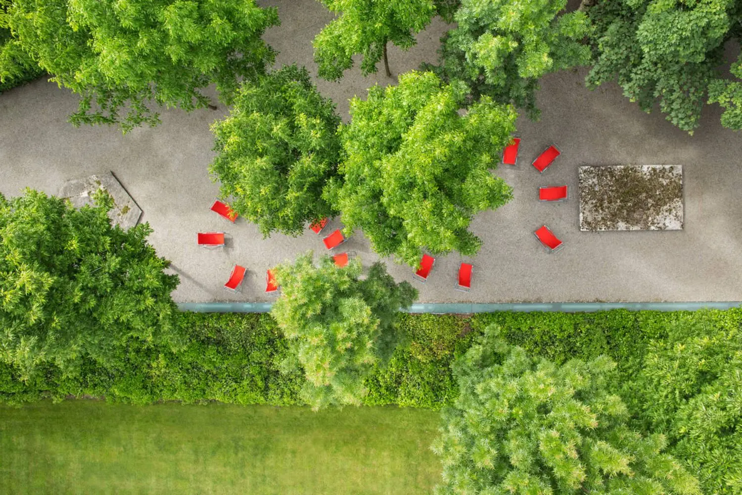 Aerial view of red chairs among green trees and grass.