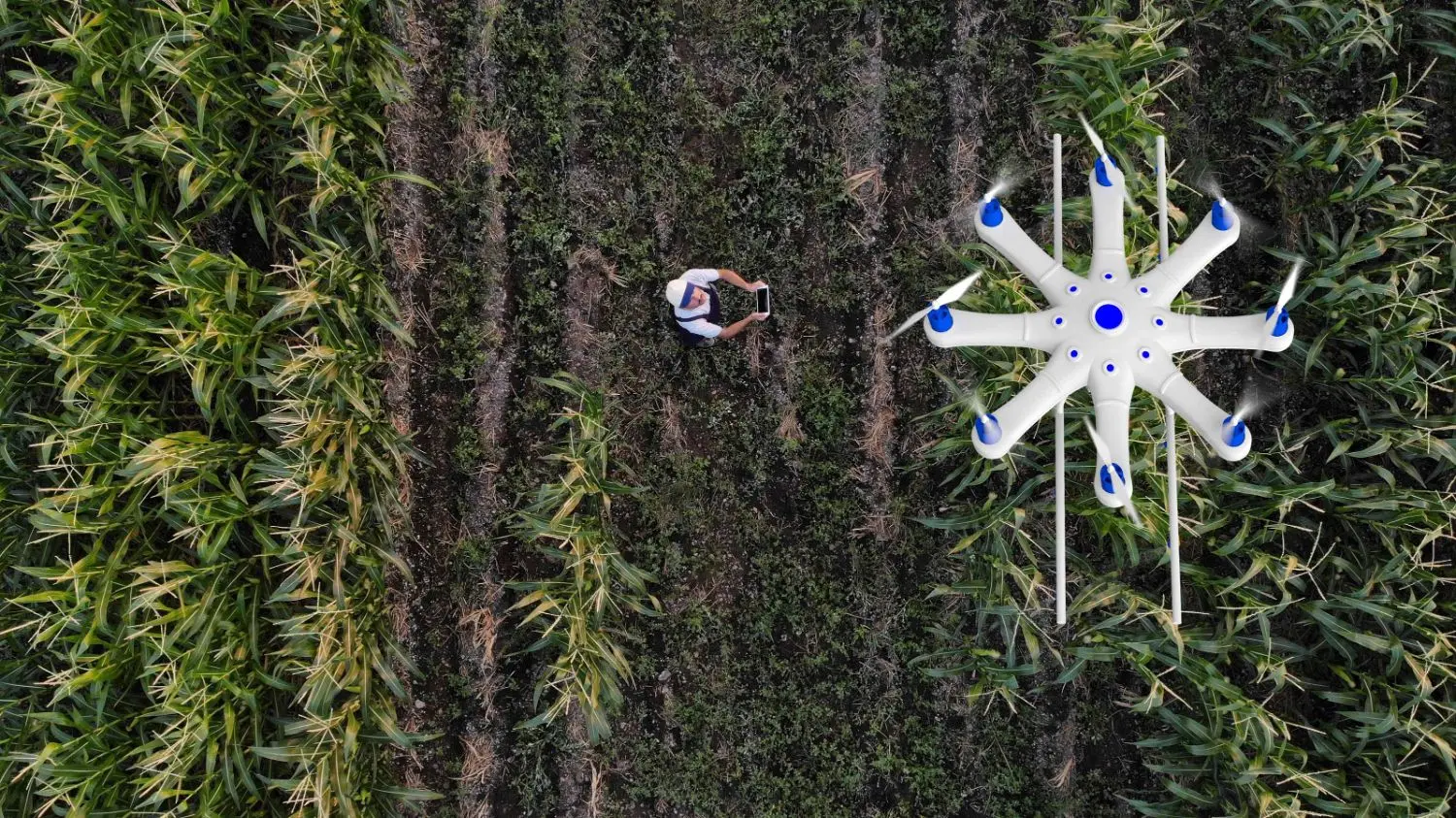 Farmer is using a drone to spray his plants