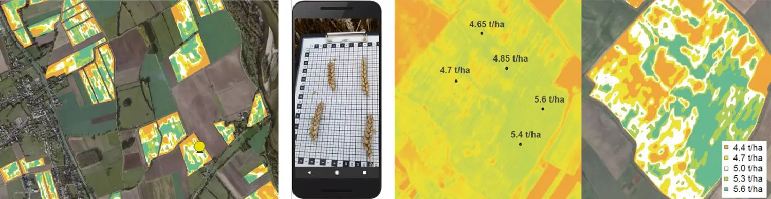 Example of area clustering based on Remote Sensing footprint and Crop Growth Model for soft wheat fields 